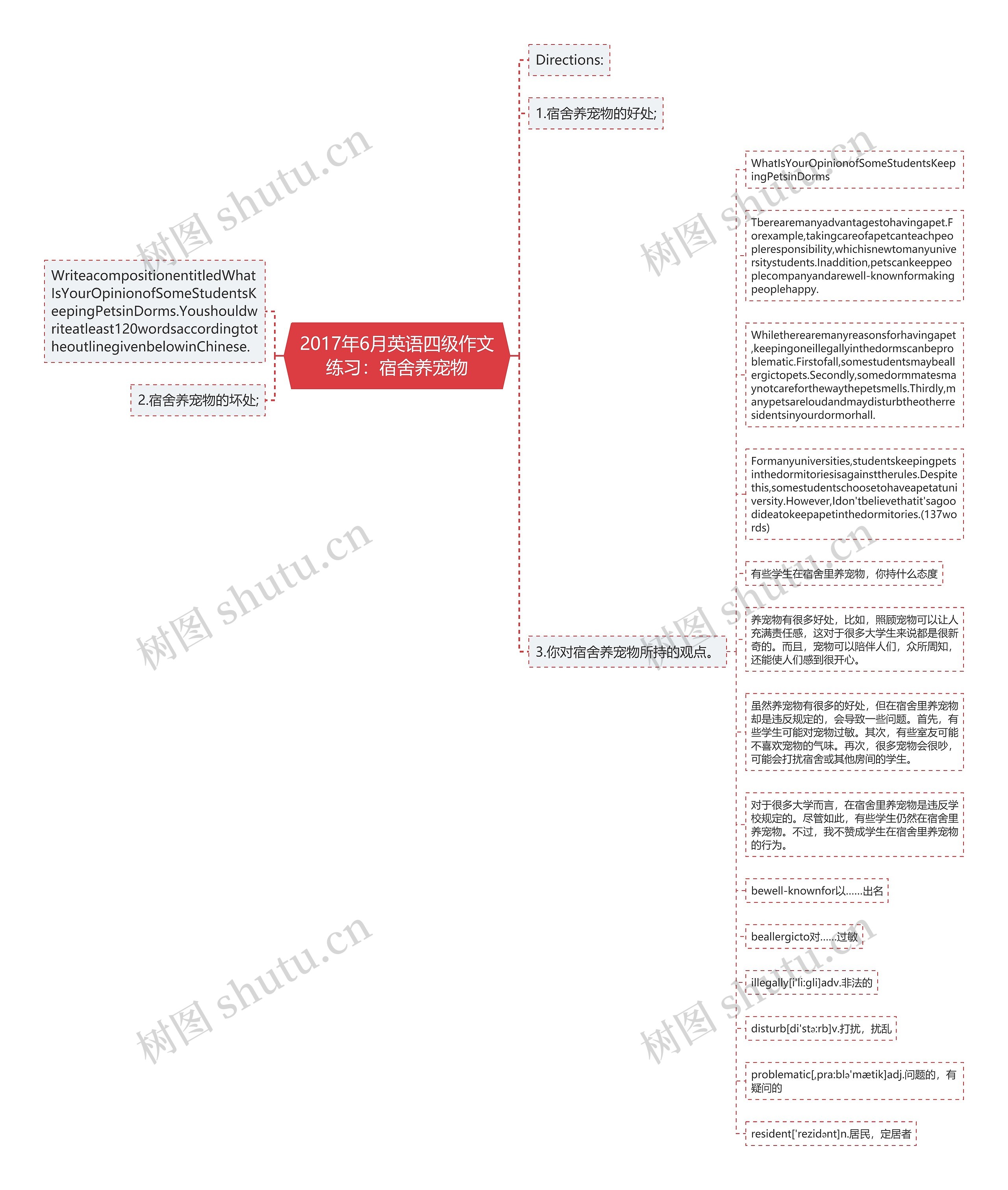 2017年6月英语四级作文练习：宿舍养宠物思维导图