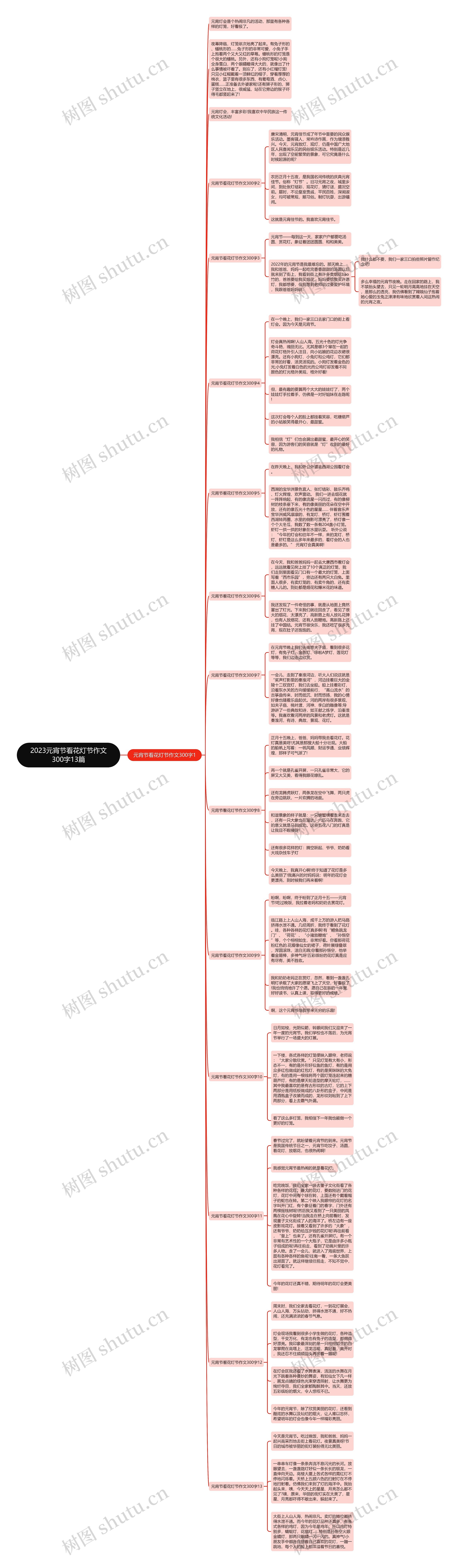 2023元宵节看花灯节作文300字13篇思维导图