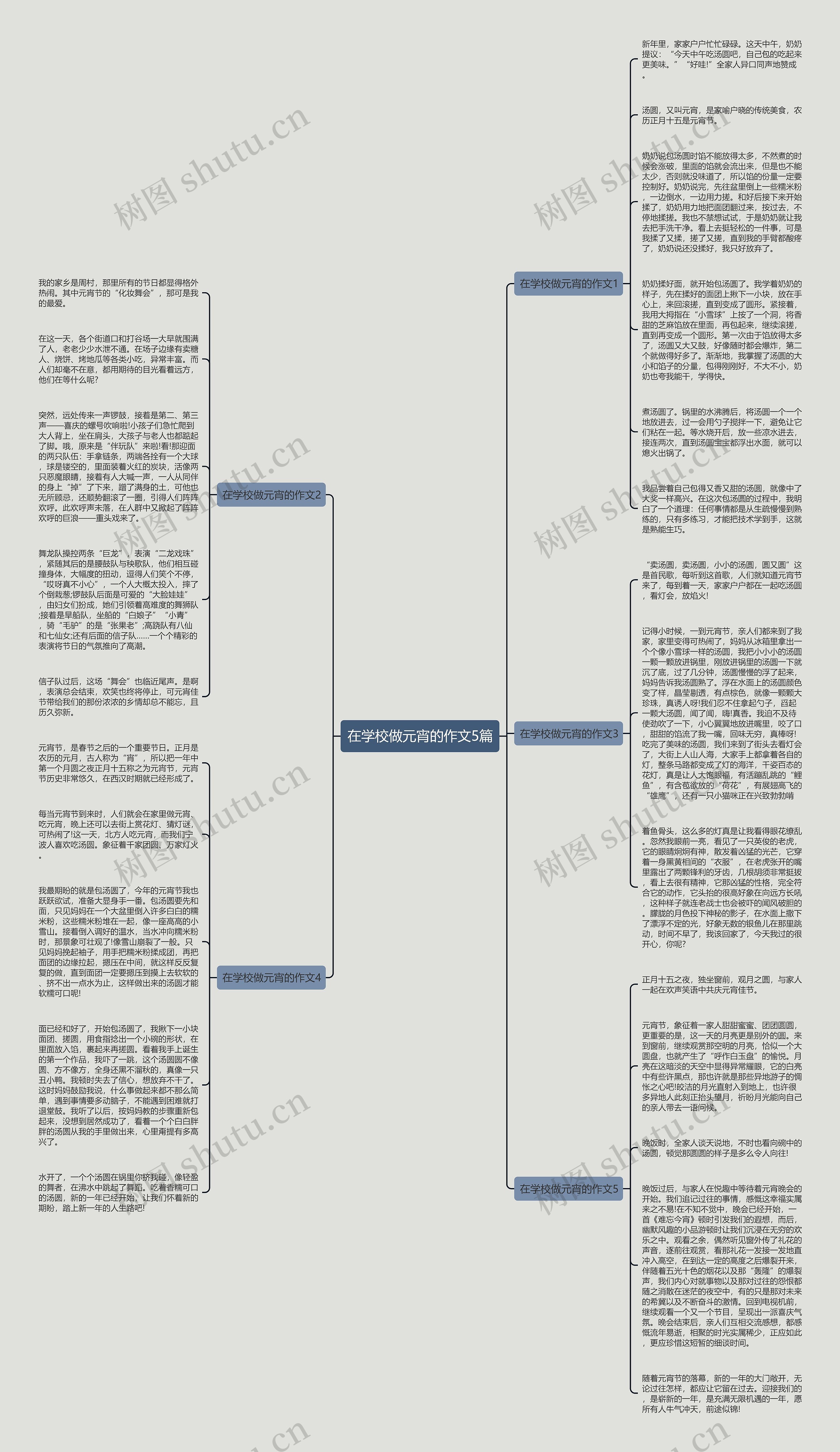 在学校做元宵的作文5篇思维导图