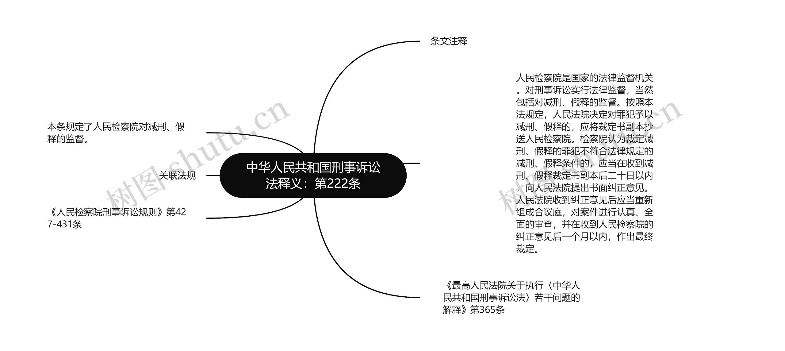 中华人民共和国刑事诉讼法释义：第222条思维导图