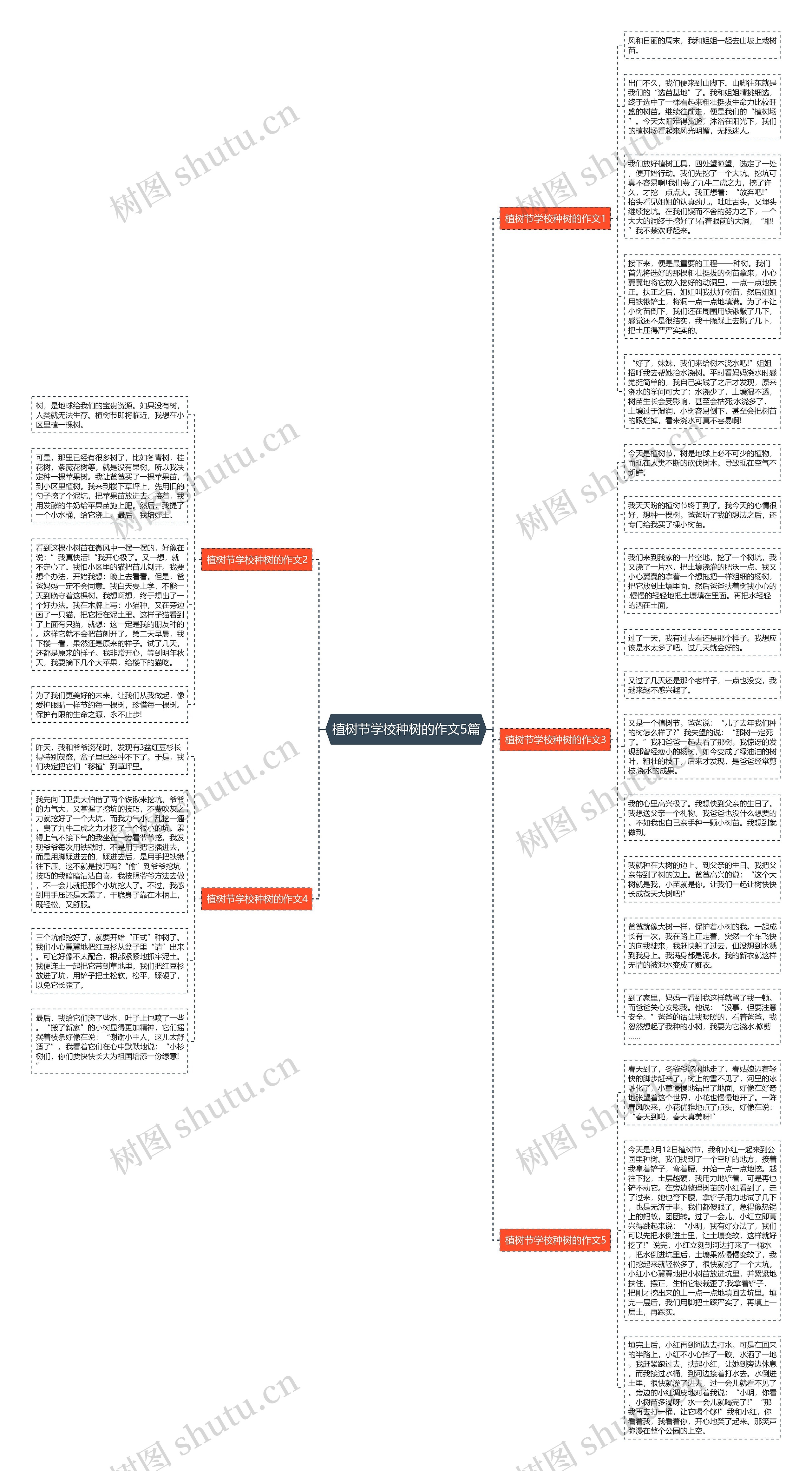 植树节学校种树的作文5篇思维导图