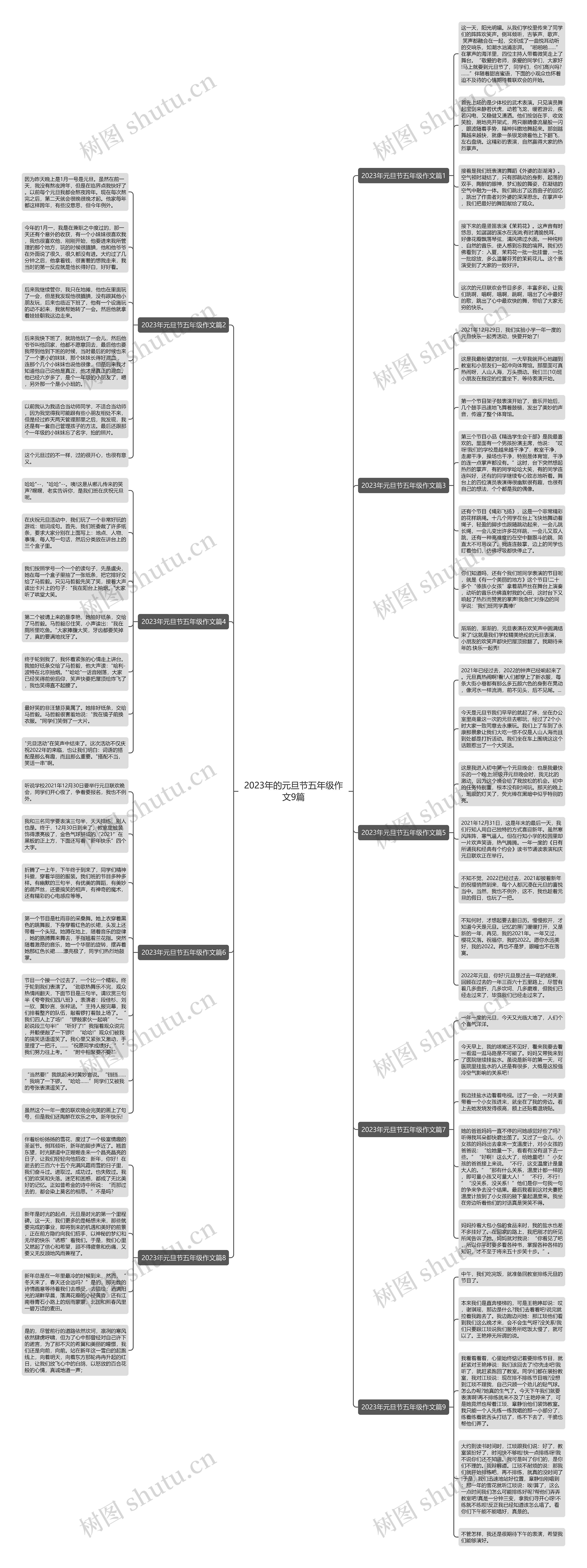 2023年的元旦节五年级作文9篇思维导图