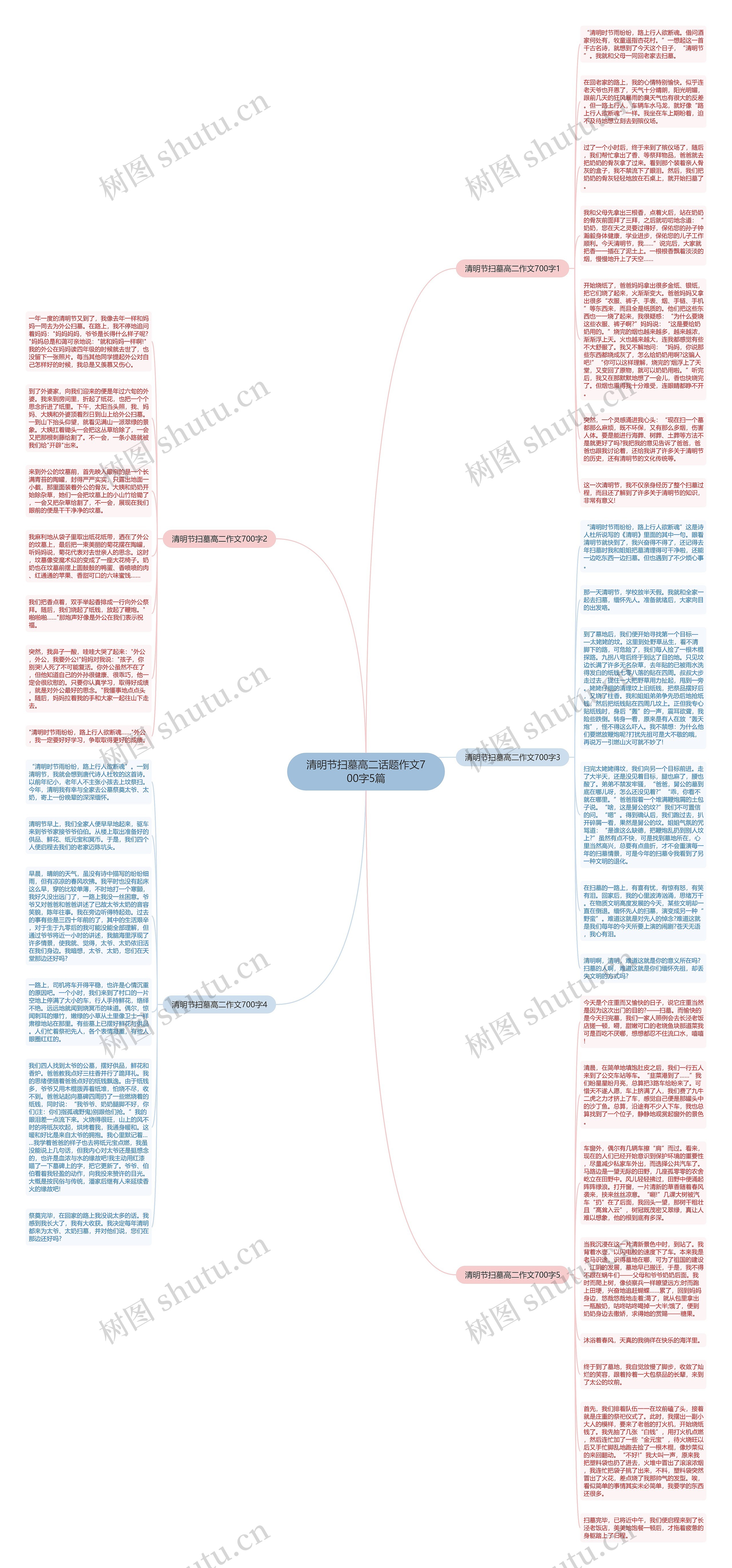 清明节扫墓高二话题作文700字5篇思维导图