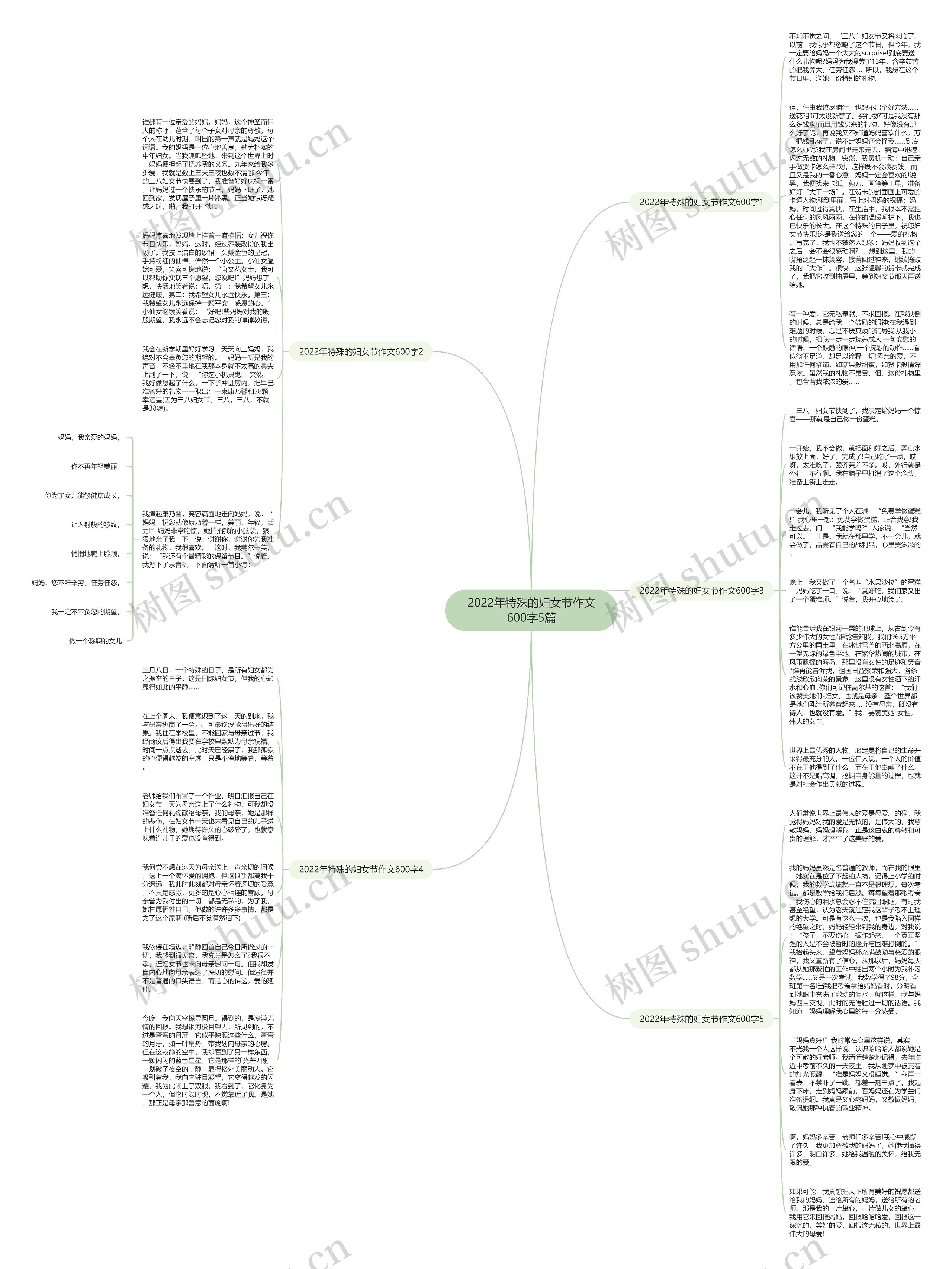 2022年特殊的妇女节作文600字5篇