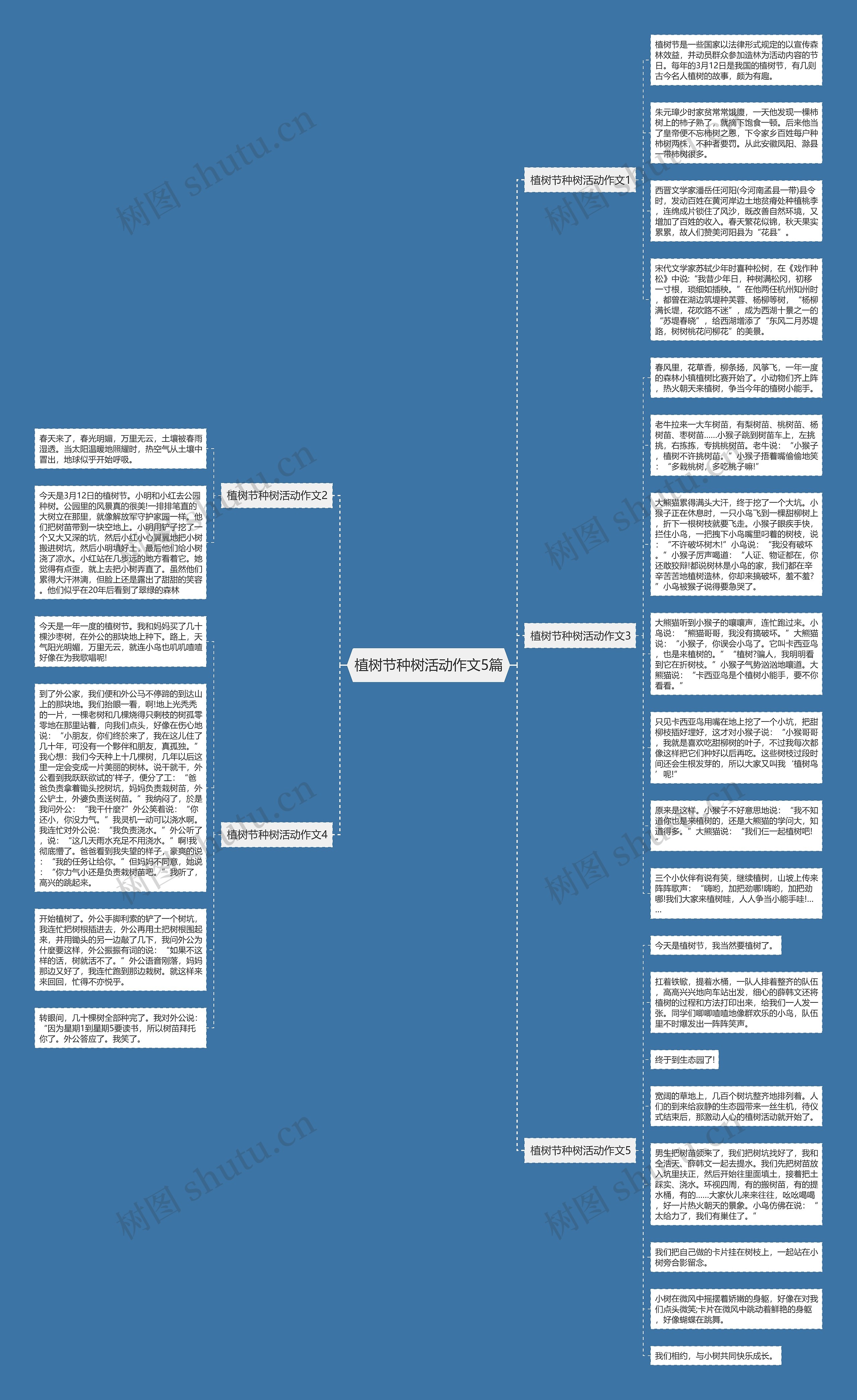 植树节种树活动作文5篇思维导图
