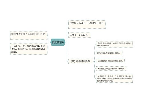 其他损伤