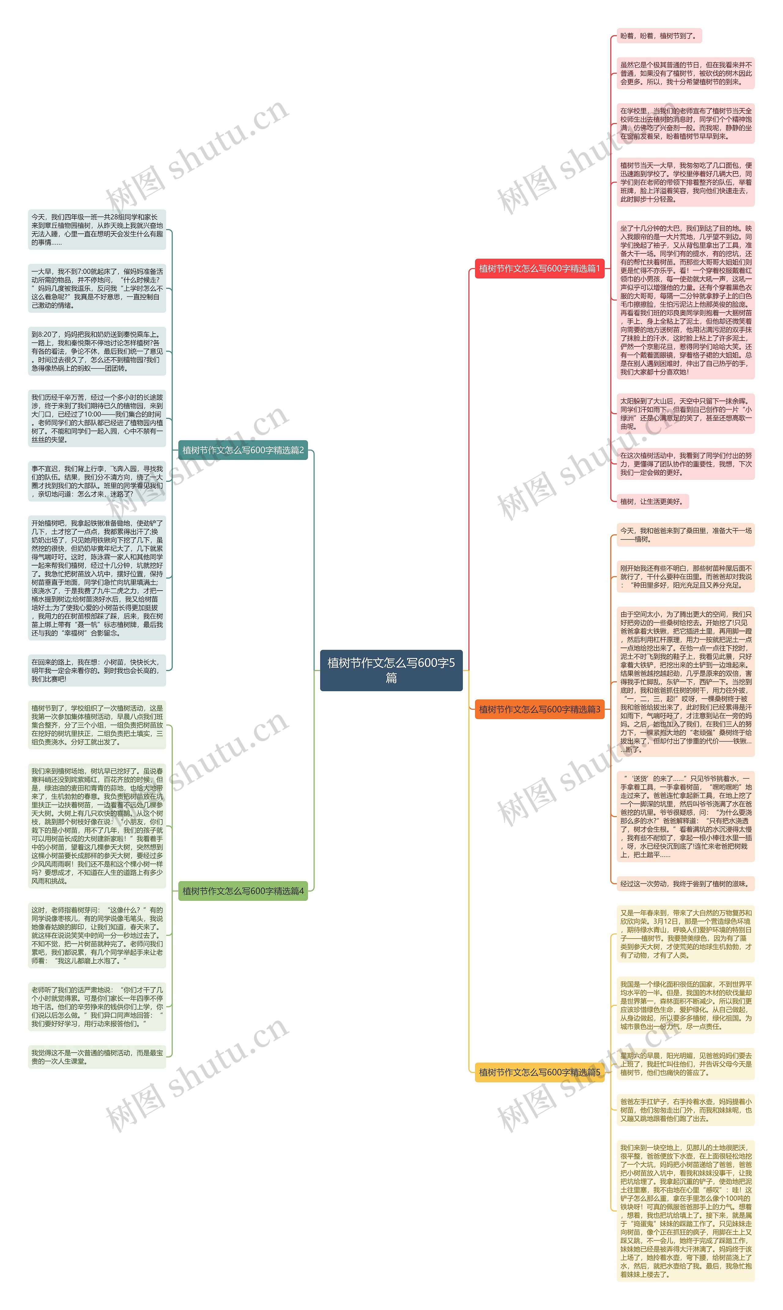 植树节作文怎么写600字5篇思维导图