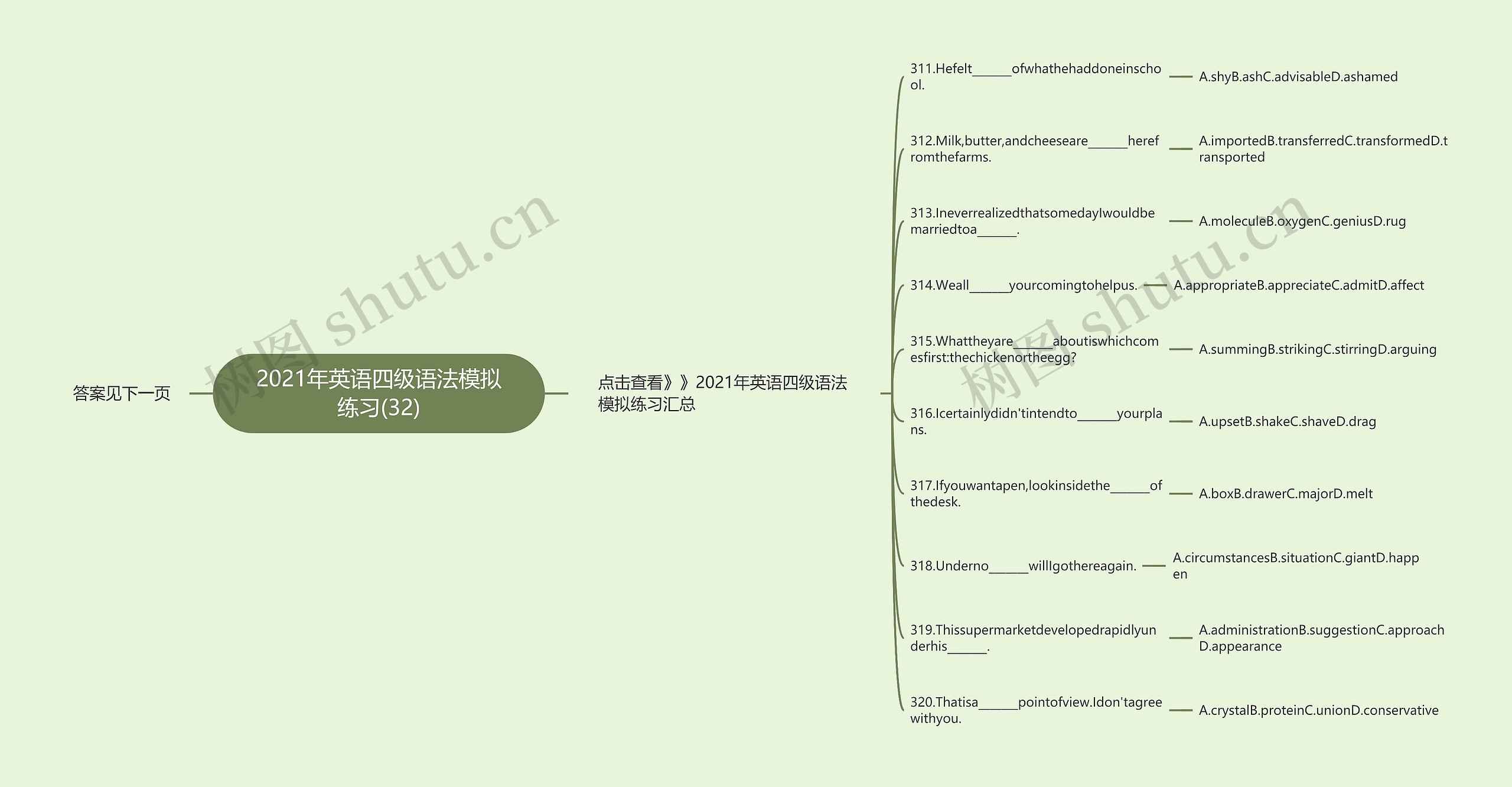2021年英语四级语法模拟练习(32)思维导图