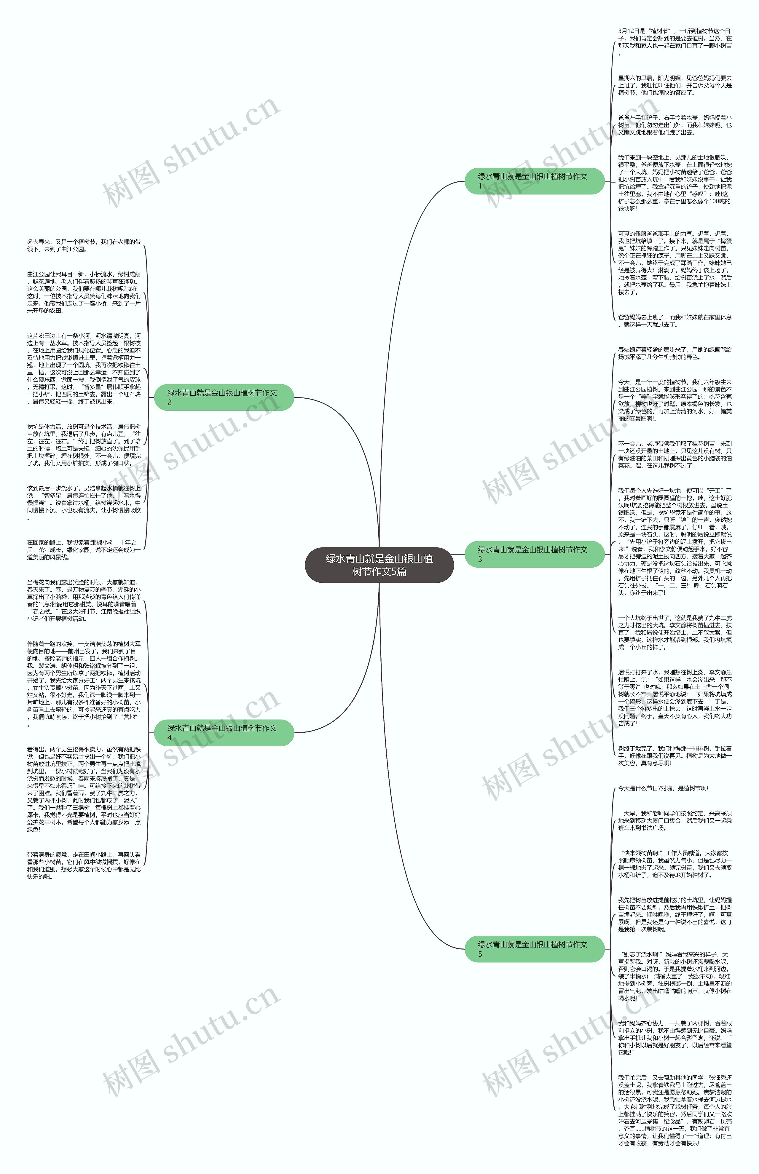 绿水青山就是金山银山植树节作文5篇思维导图