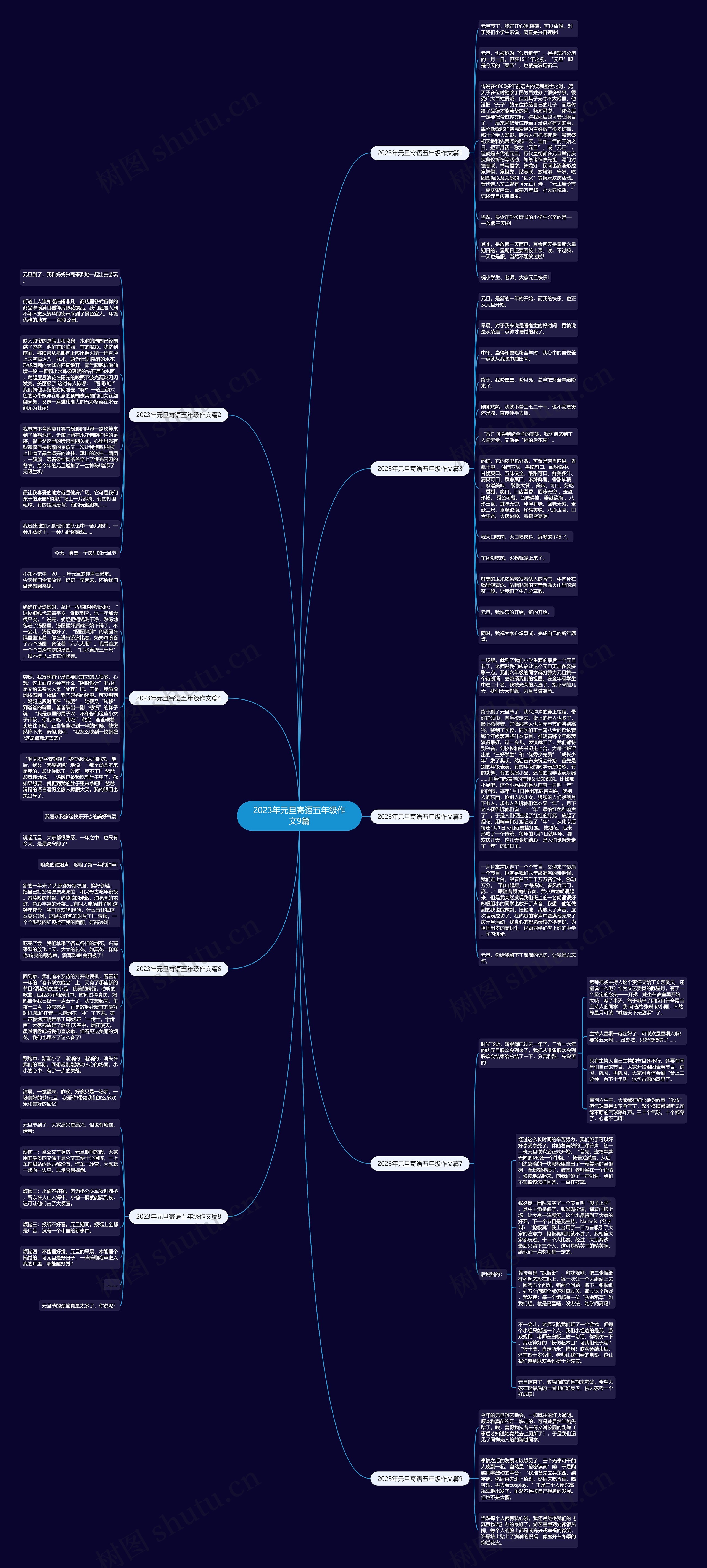 2023年元旦寄语五年级作文9篇思维导图