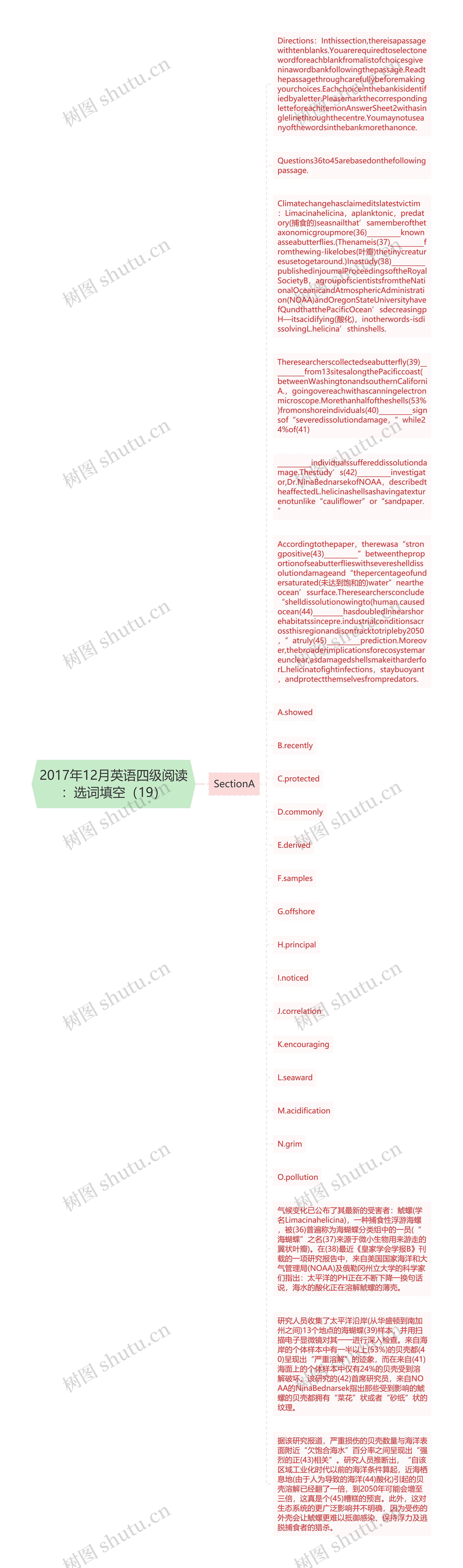 2017年12月英语四级阅读：选词填空（19）