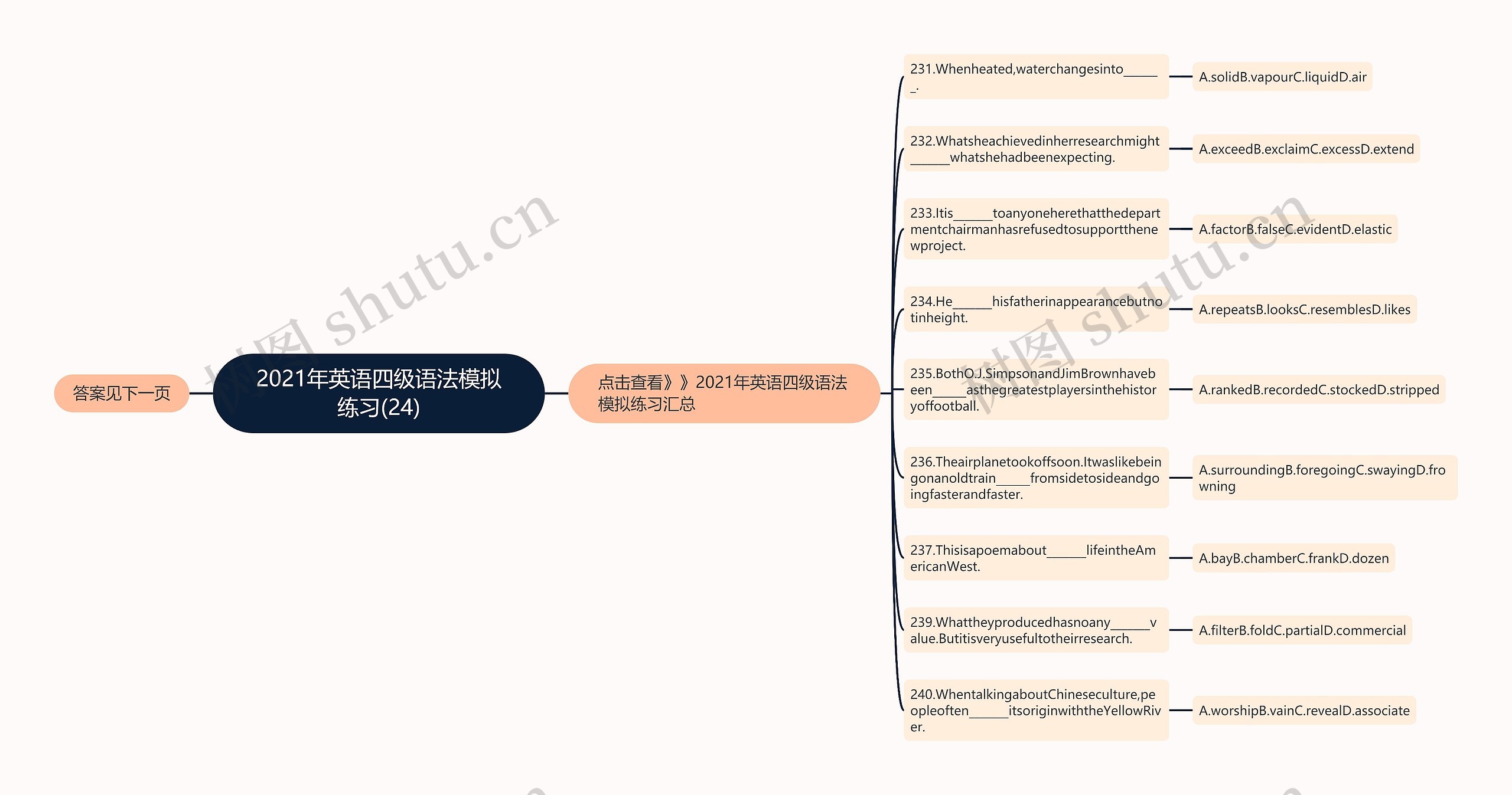 2021年英语四级语法模拟练习(24)