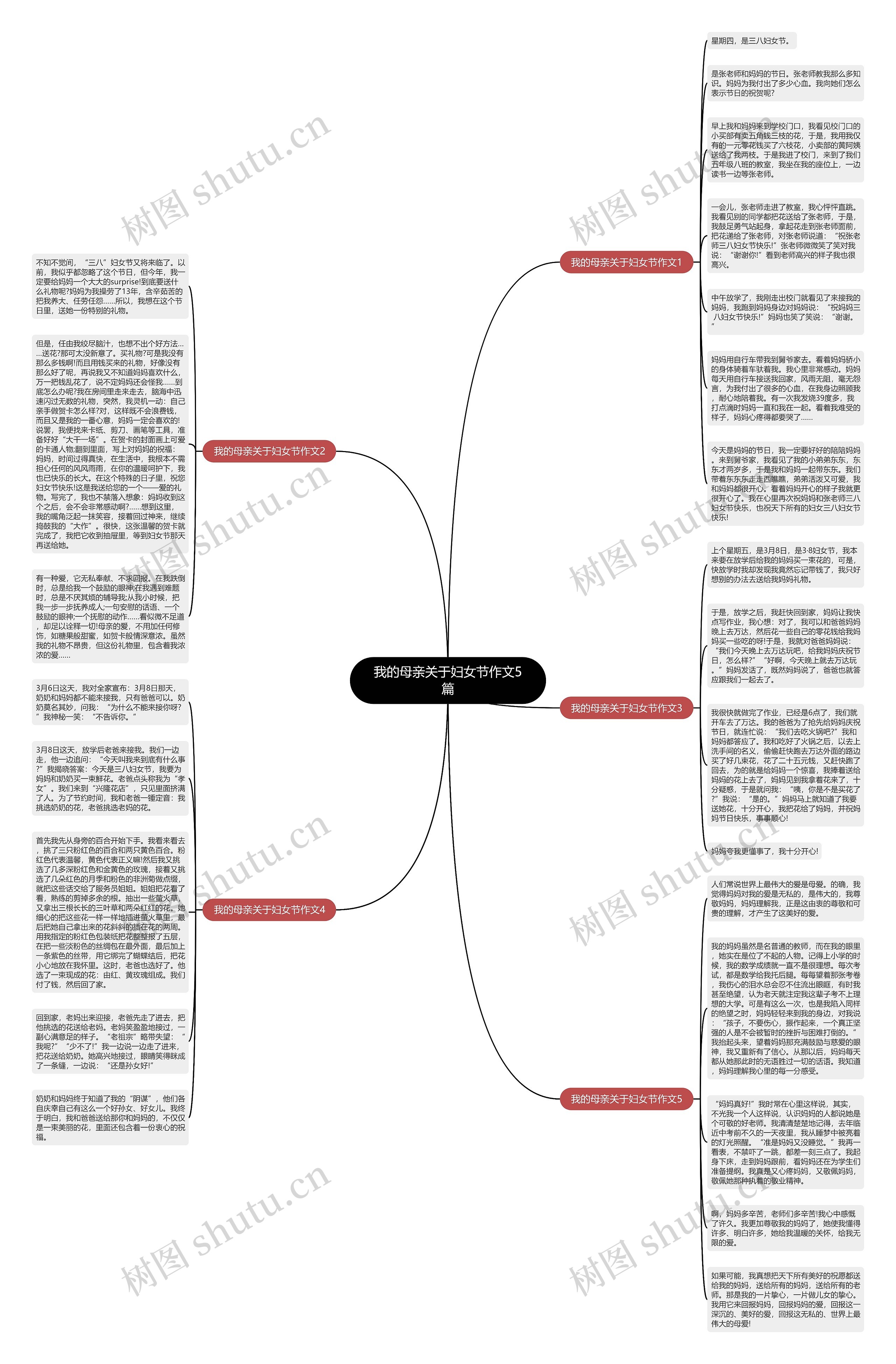 我的母亲关于妇女节作文5篇思维导图
