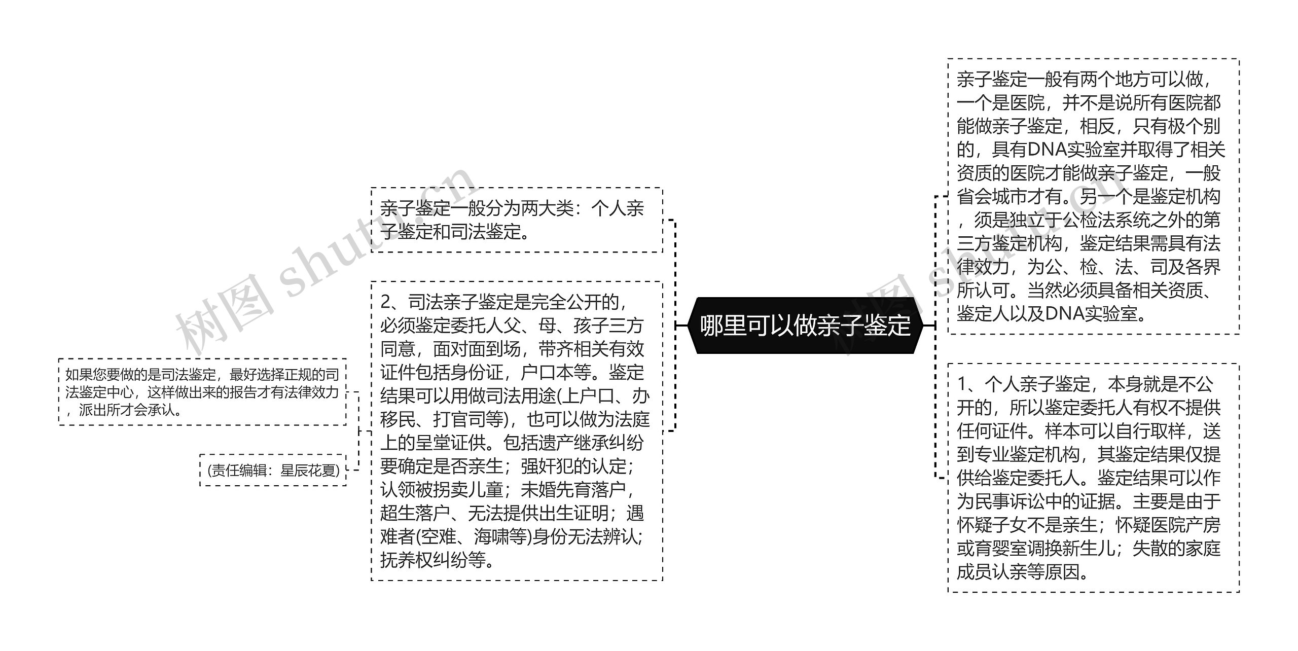 哪里可以做亲子鉴定思维导图