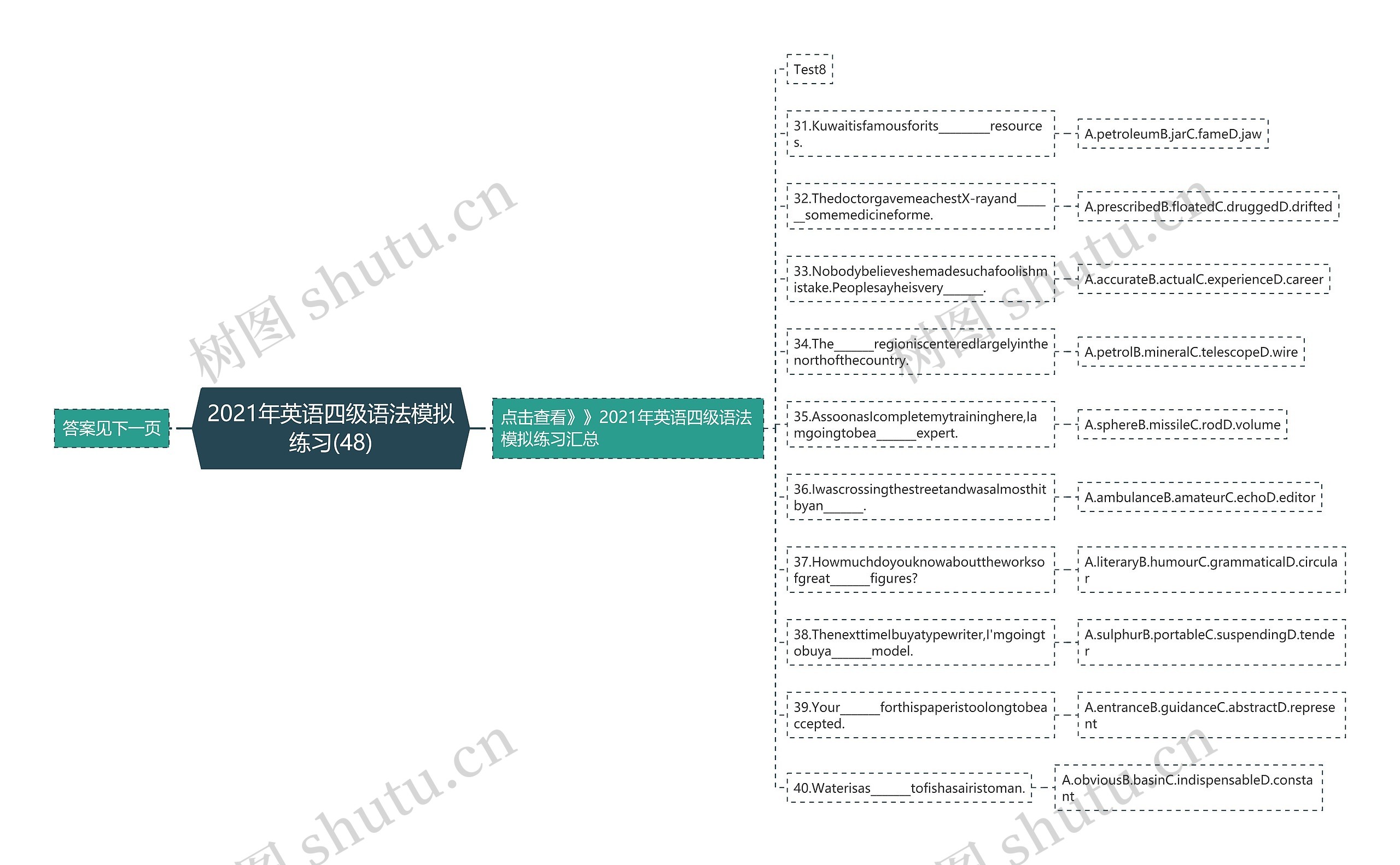 2021年英语四级语法模拟练习(48)思维导图