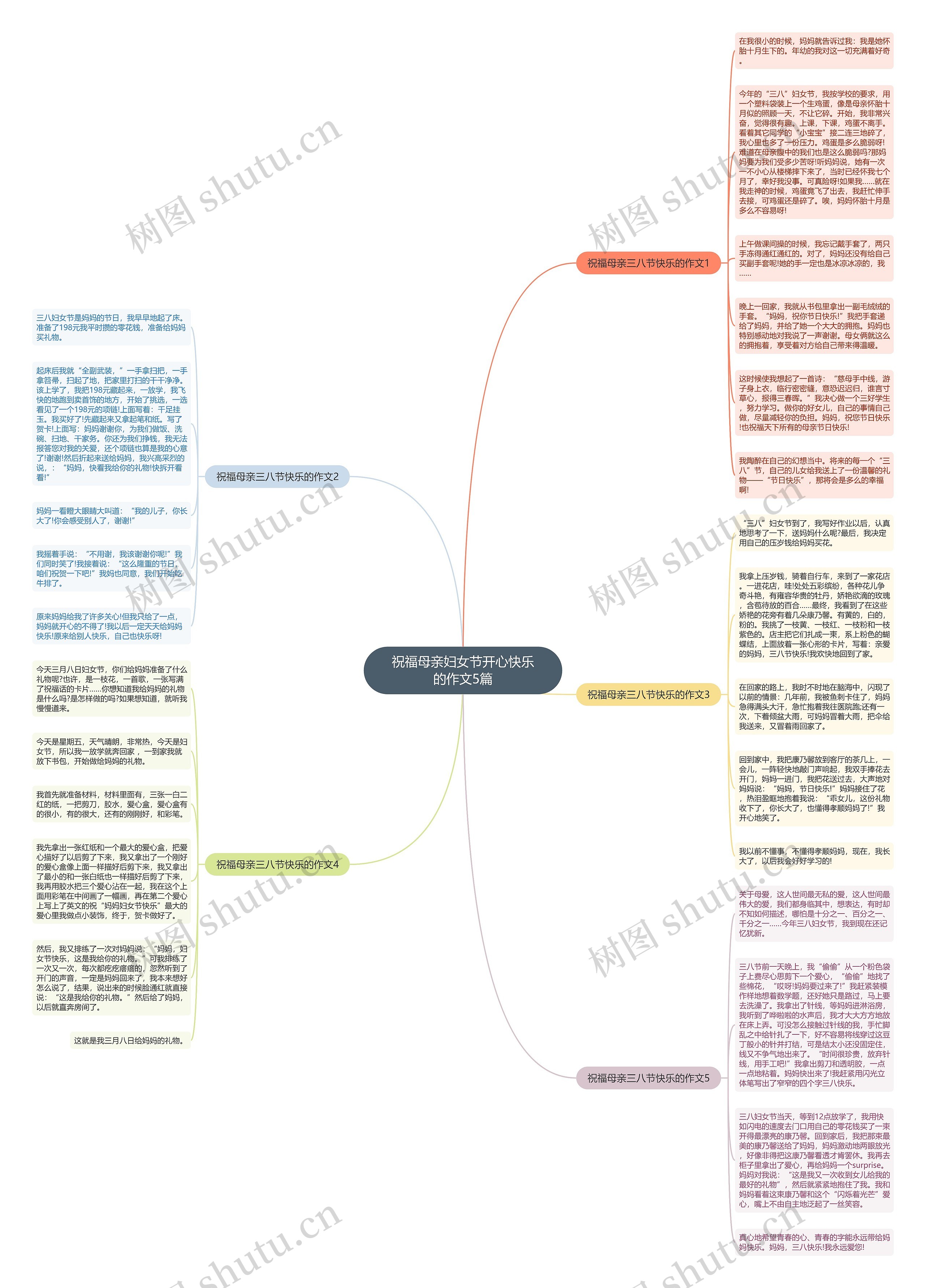 祝福母亲妇女节开心快乐的作文5篇思维导图