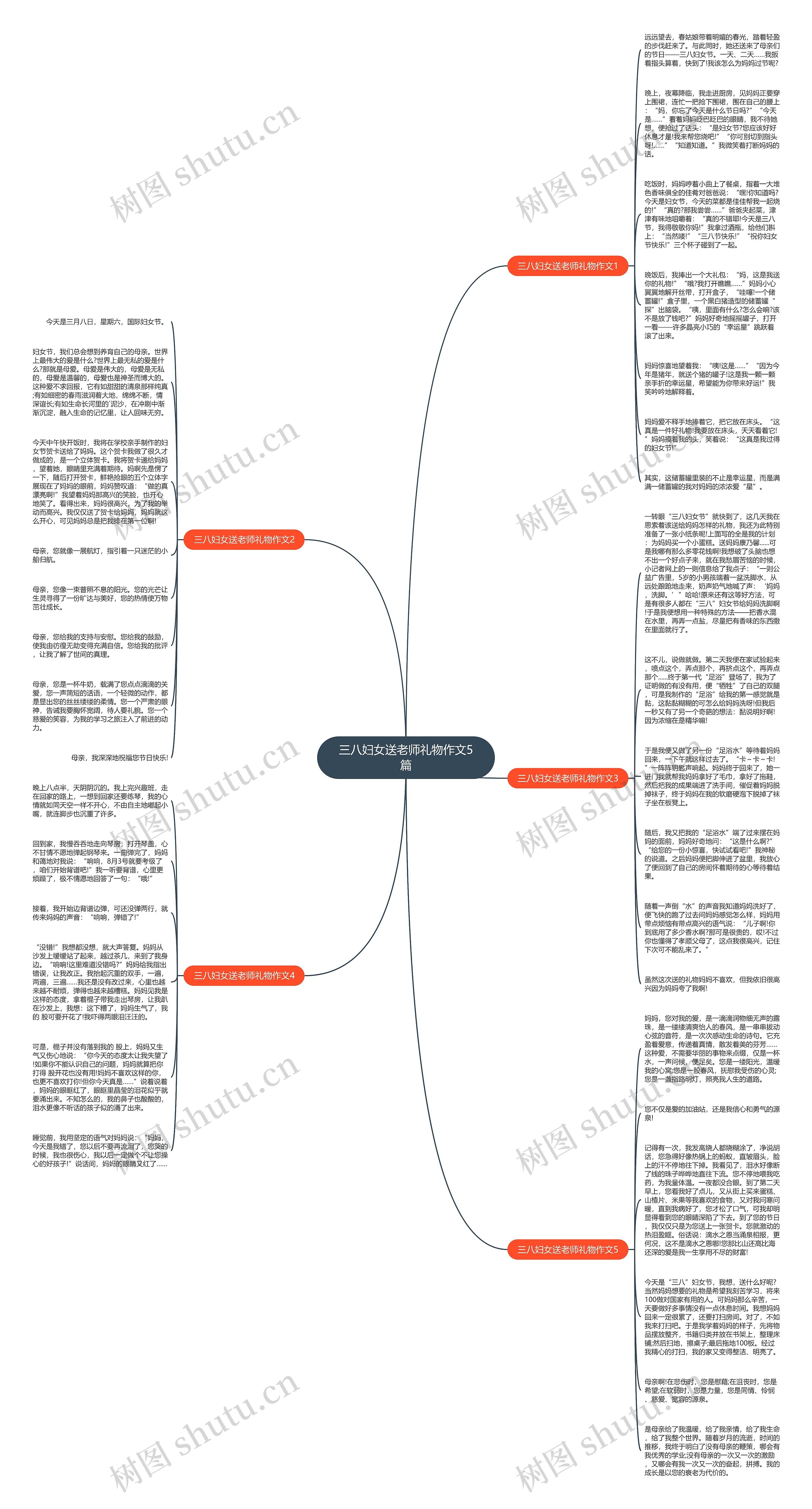 三八妇女送老师礼物作文5篇思维导图