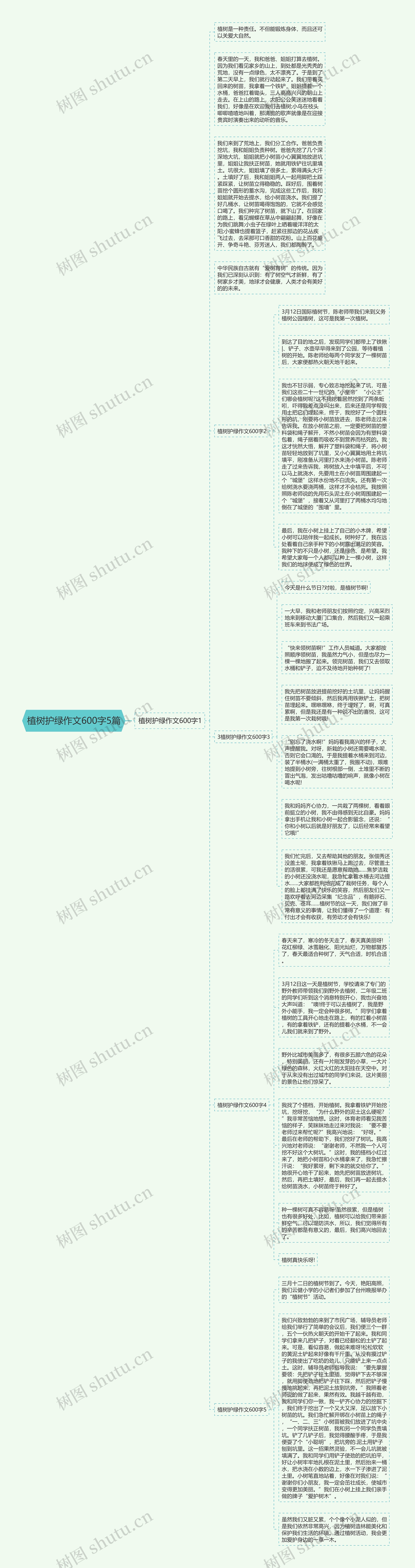 植树护绿作文600字5篇思维导图