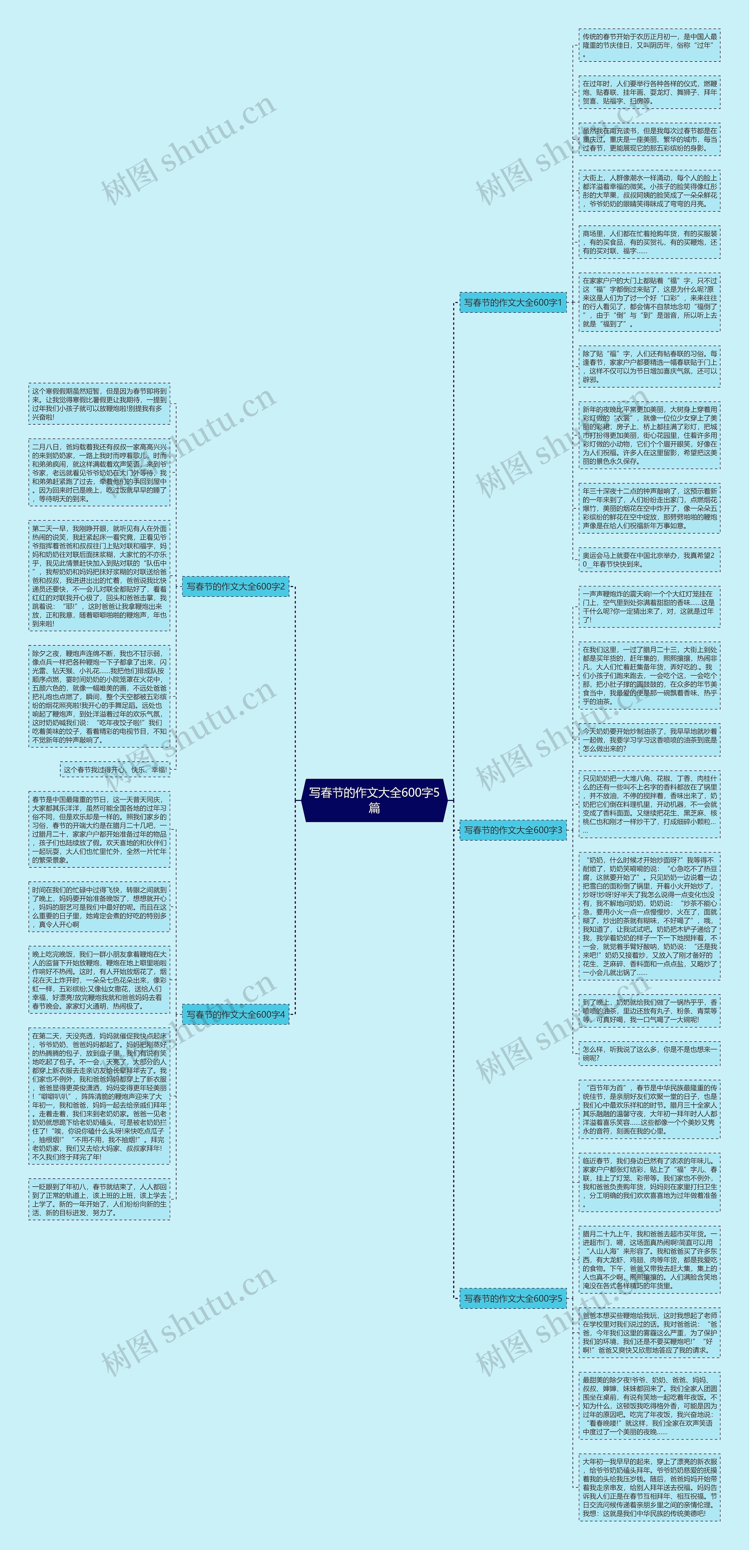 写春节的作文大全600字5篇思维导图