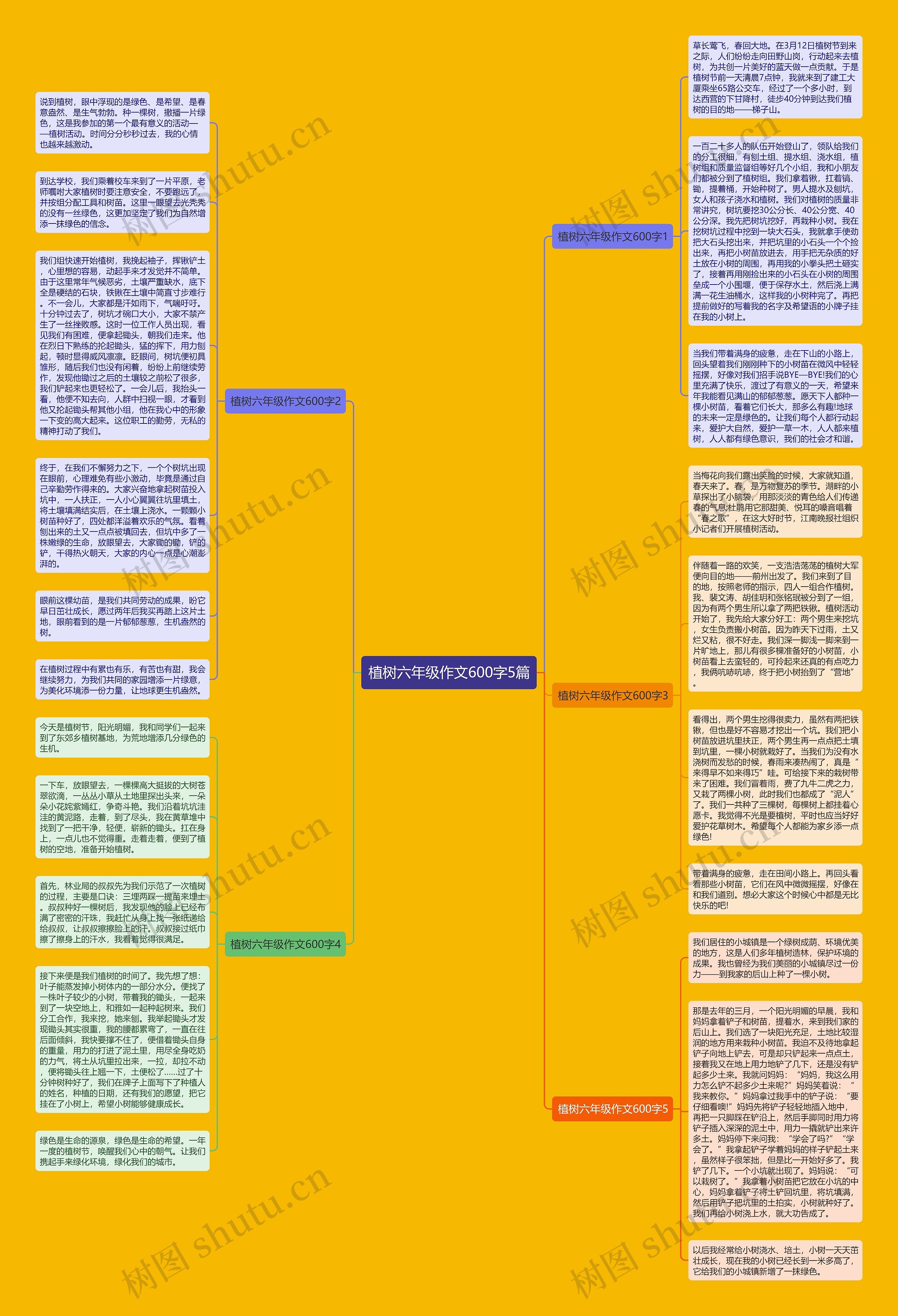 植树六年级作文600字5篇思维导图