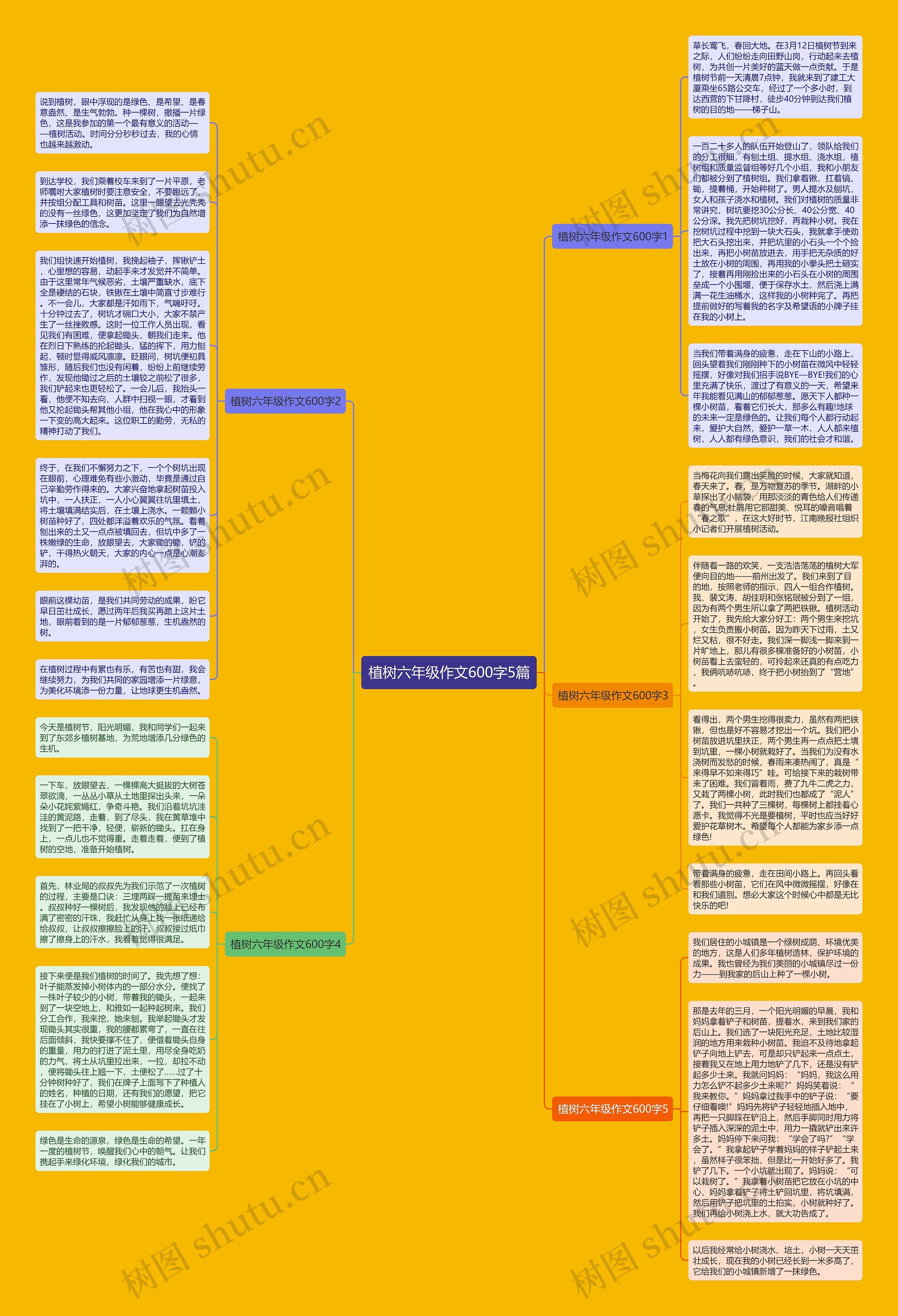 植树六年级作文600字5篇思维导图高清图 植树六年级作文600字5篇思维导图