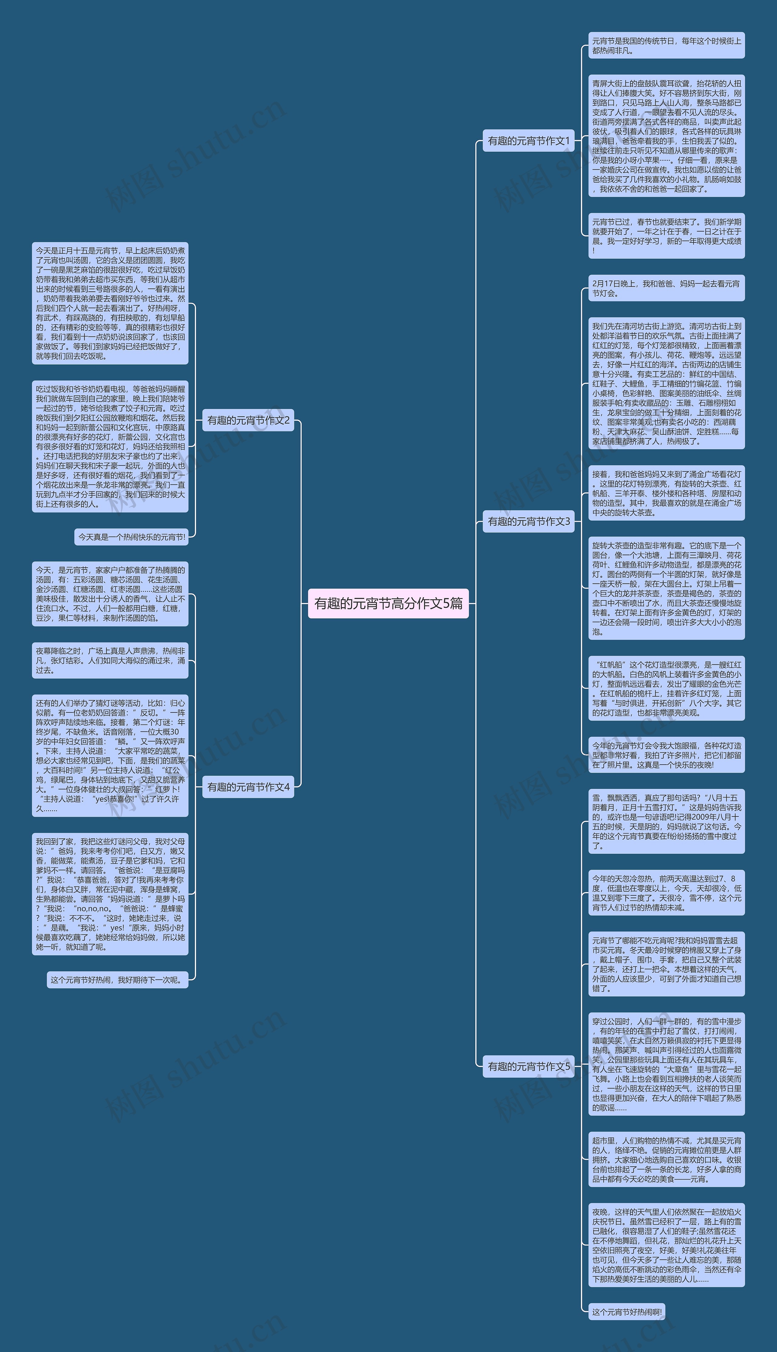 有趣的元宵节高分作文5篇思维导图