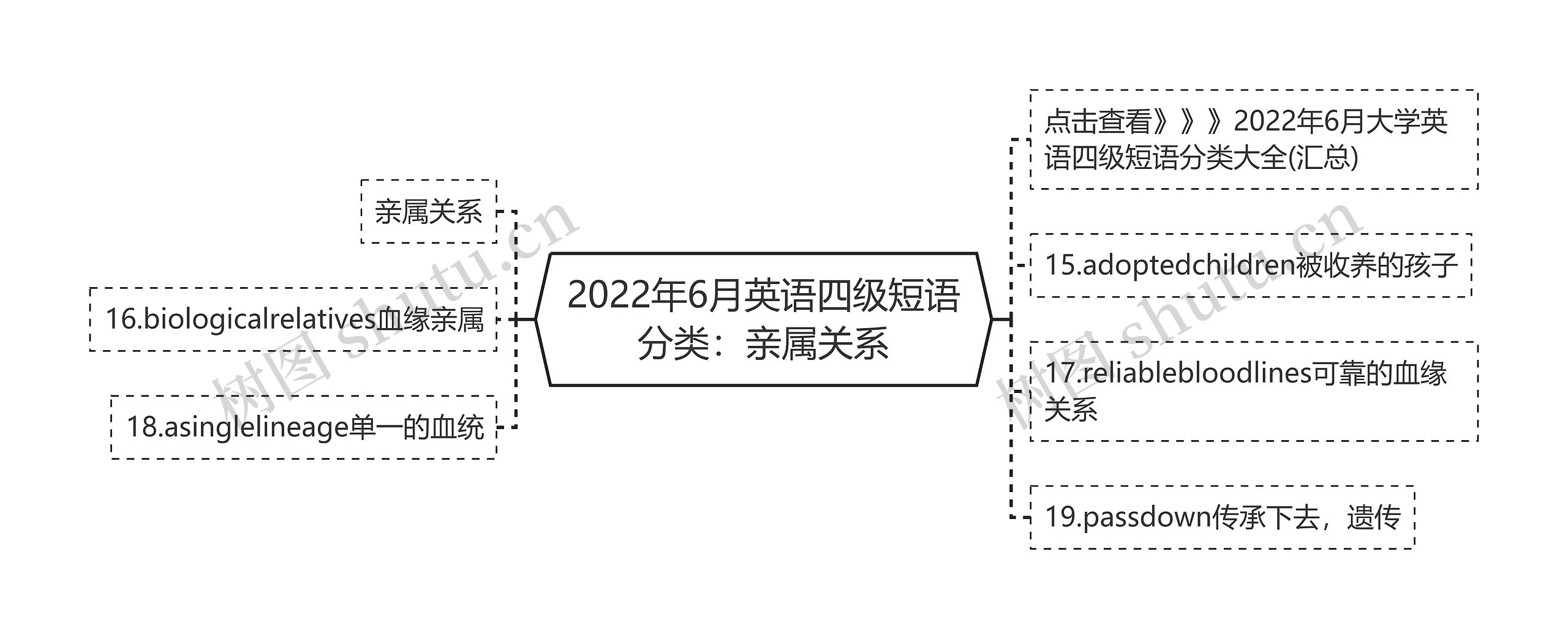 2022年6月英语四级短语分类：亲属关系