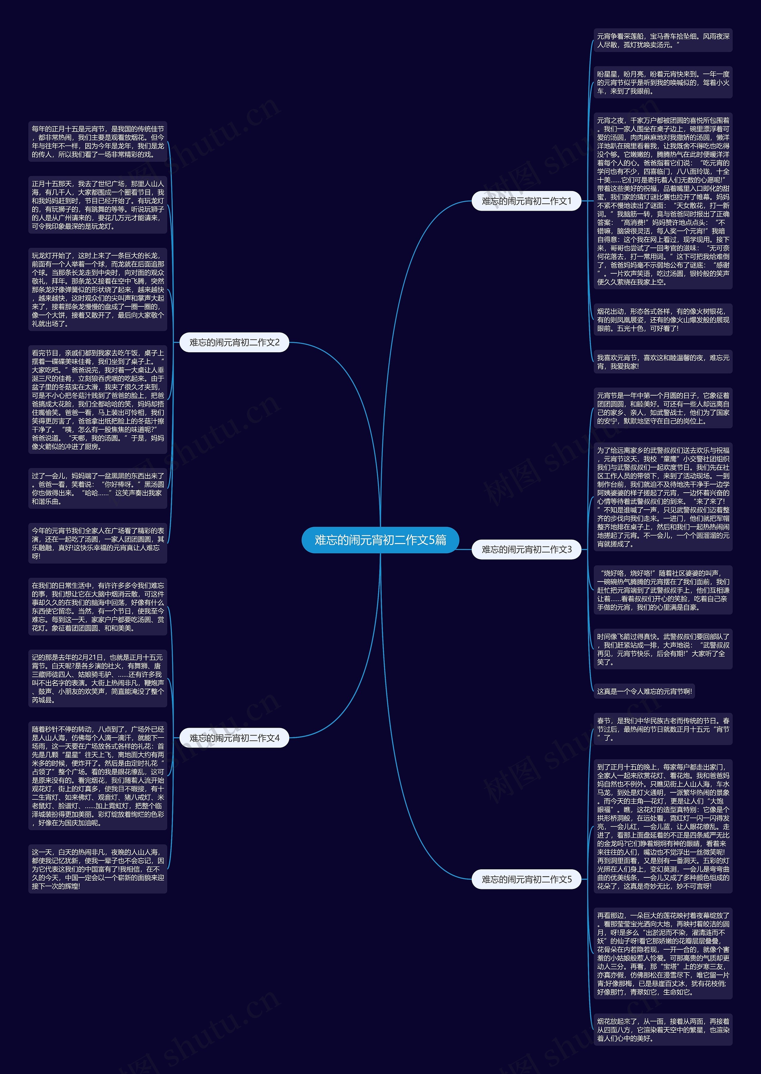 难忘的闹元宵初二作文5篇思维导图