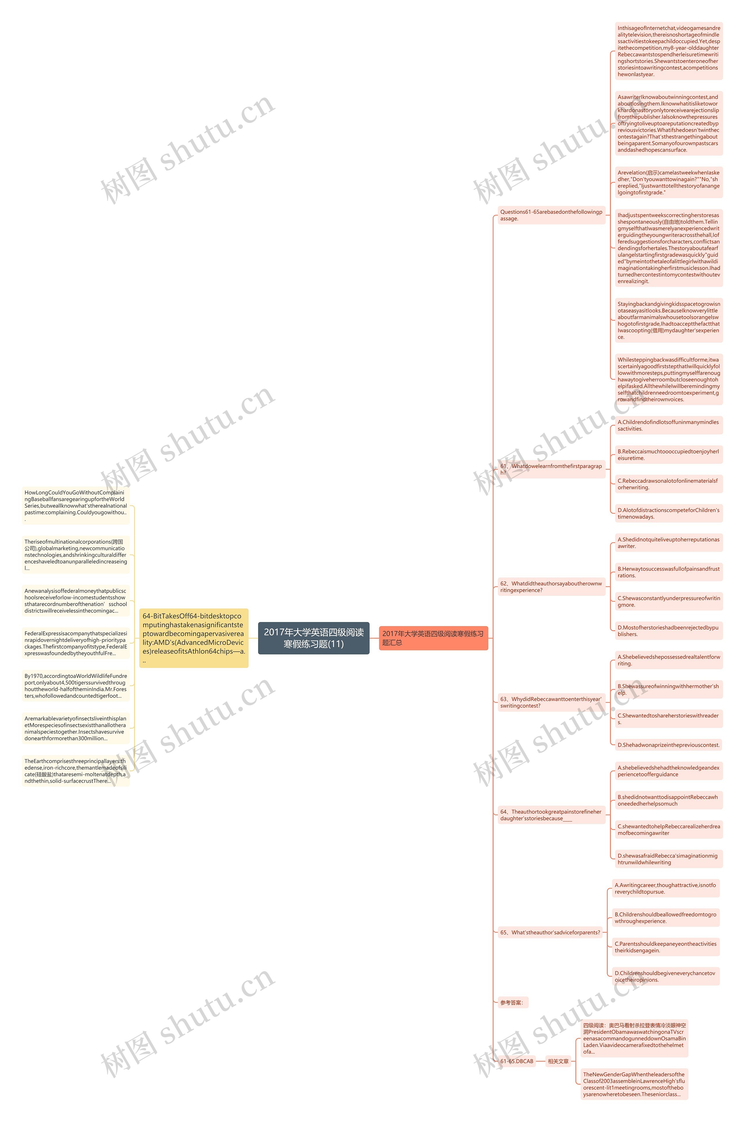 2017年大学英语四级阅读寒假练习题(11)思维导图
