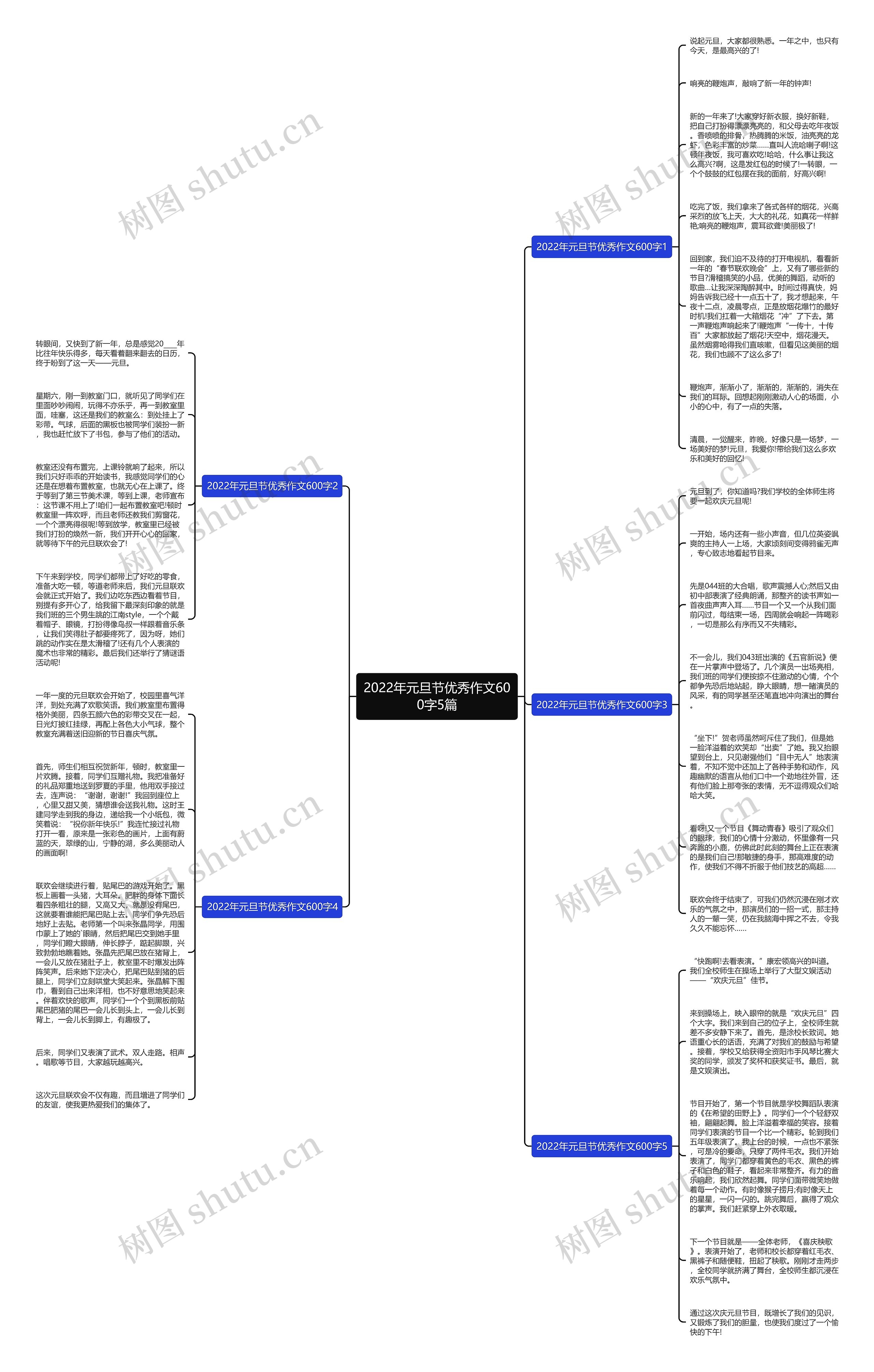 2022年元旦节优秀作文600字5篇思维导图