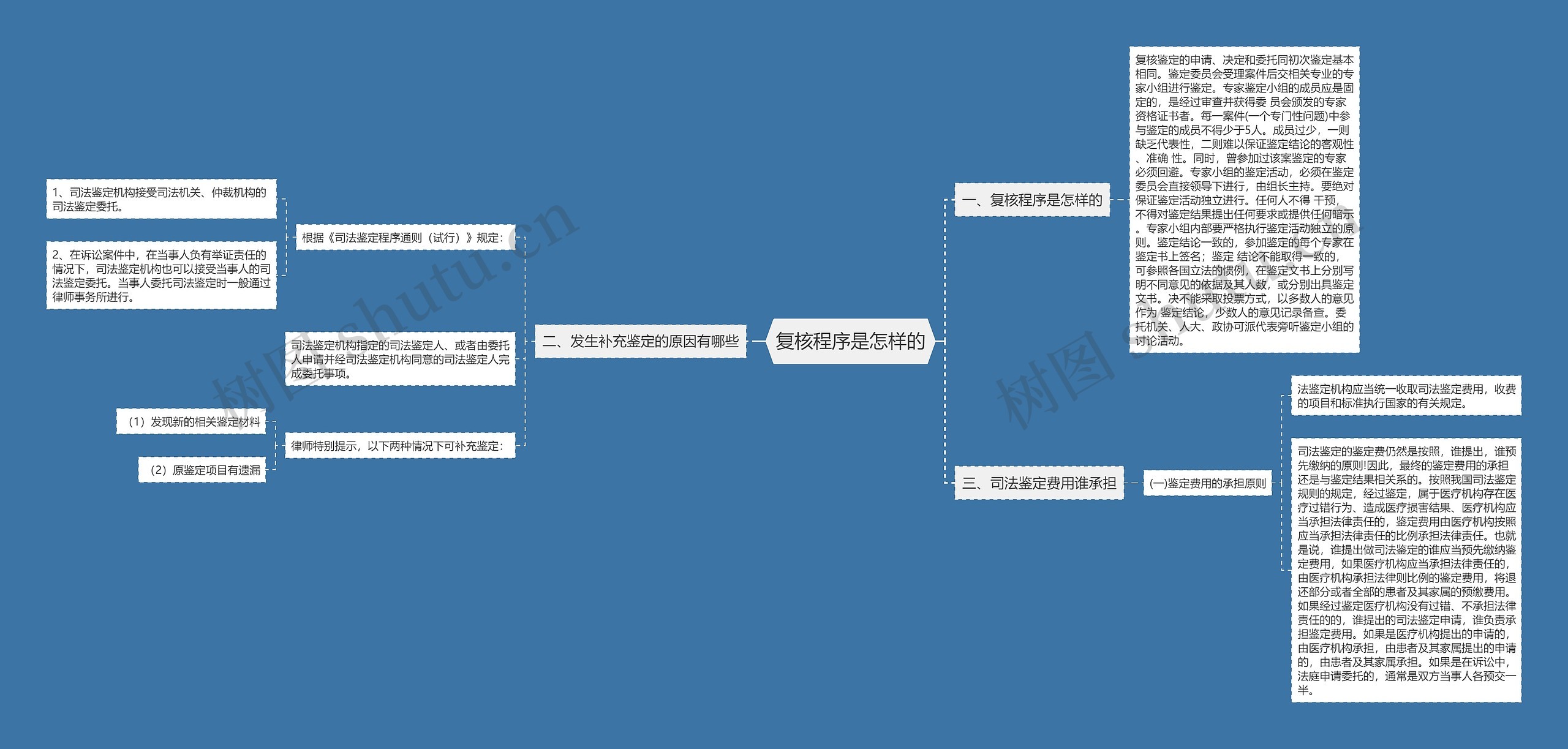 复核程序是怎样的思维导图