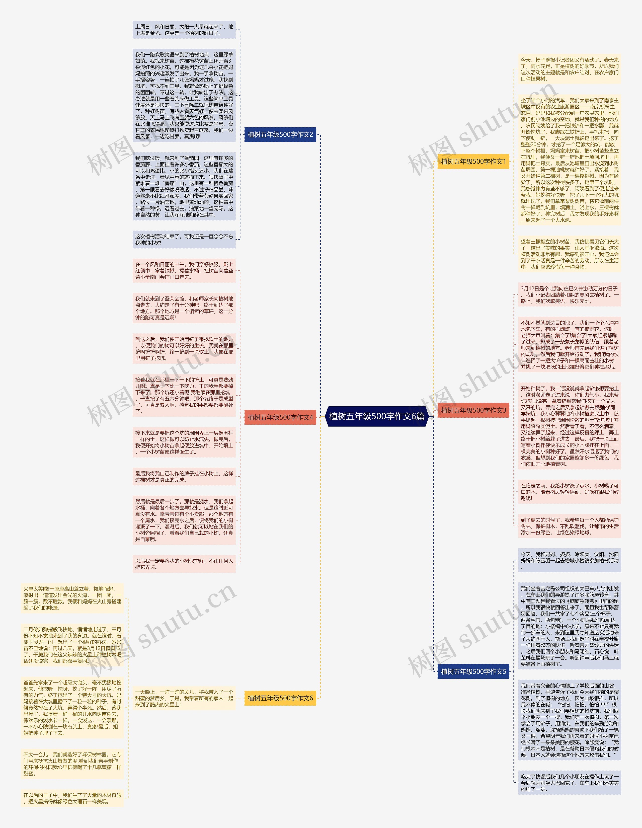 植树五年级500字作文6篇思维导图