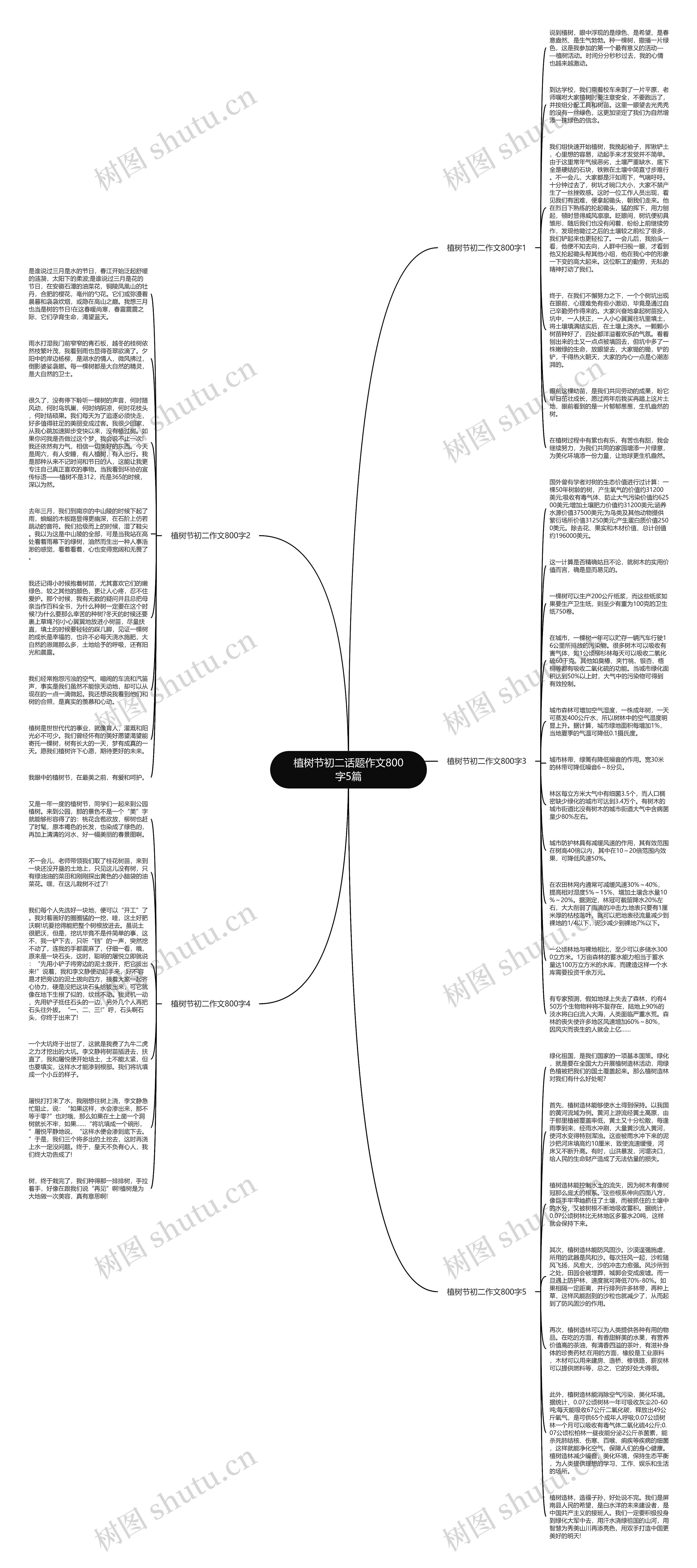 植树节初二话题作文800字5篇思维导图