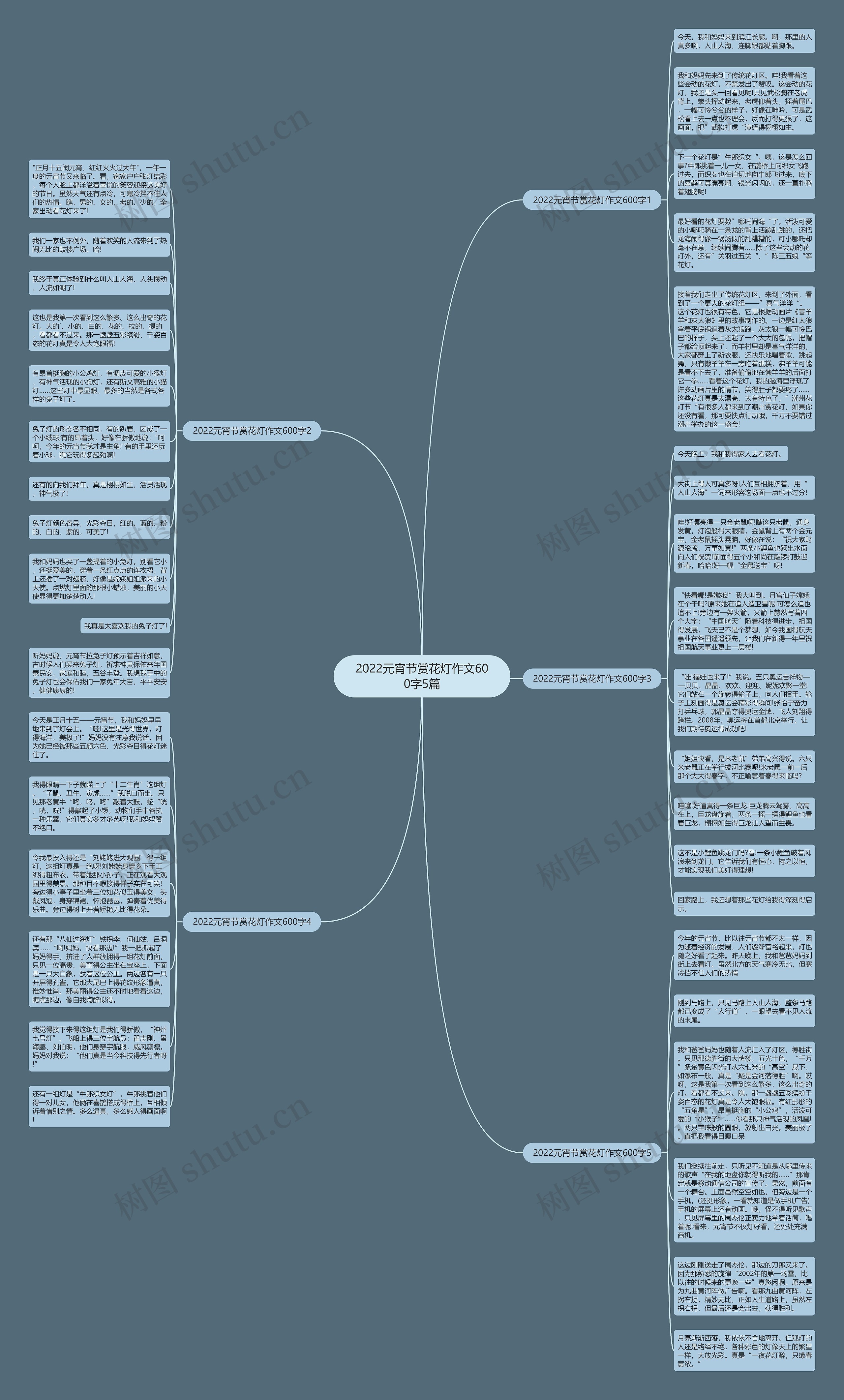 2022元宵节赏花灯作文600字5篇思维导图