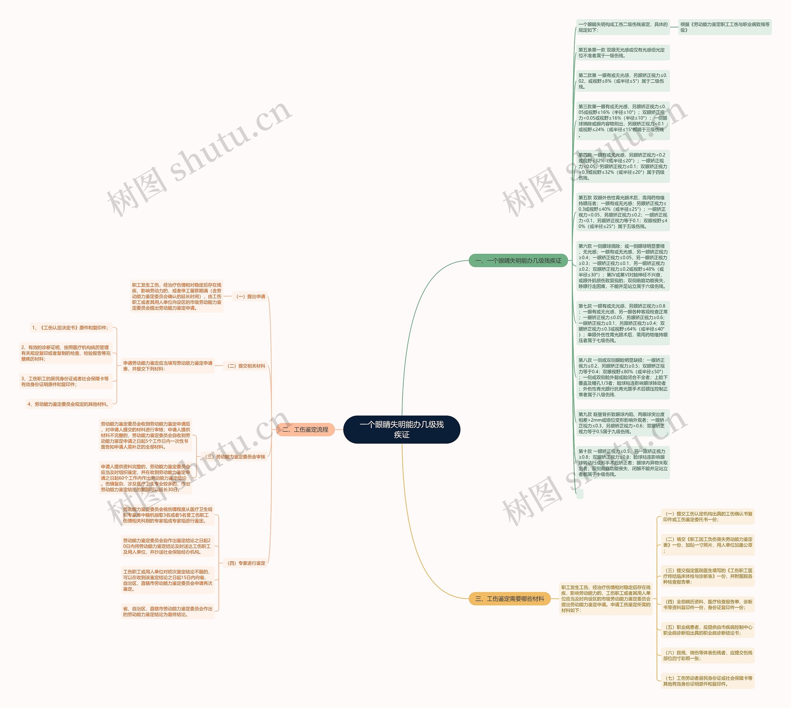 一个眼睛失明能办几级残疾证思维导图