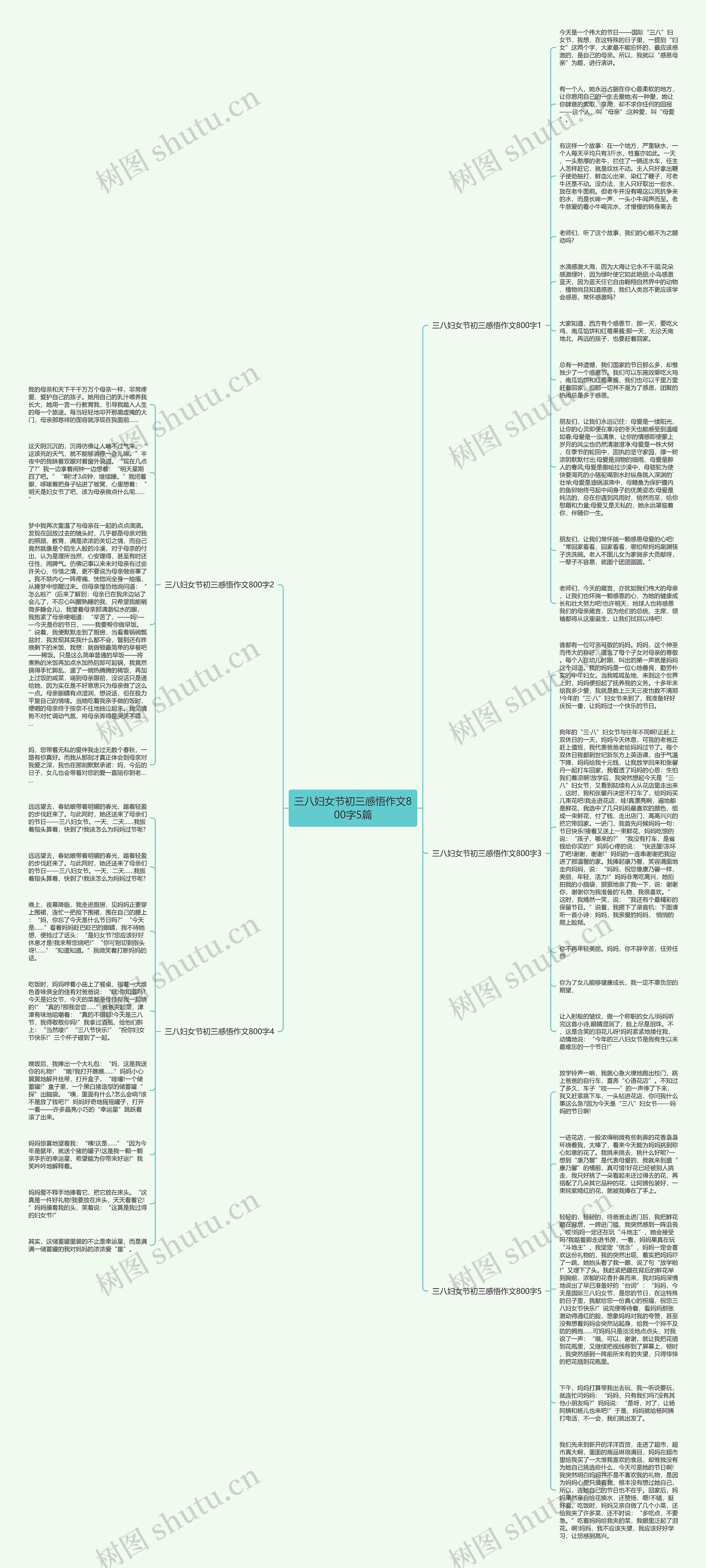 三八妇女节初三感悟作文800字5篇思维导图