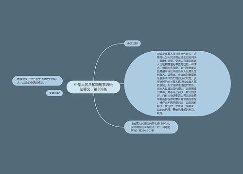 中华人民共和国刑事诉讼法释义：第203条