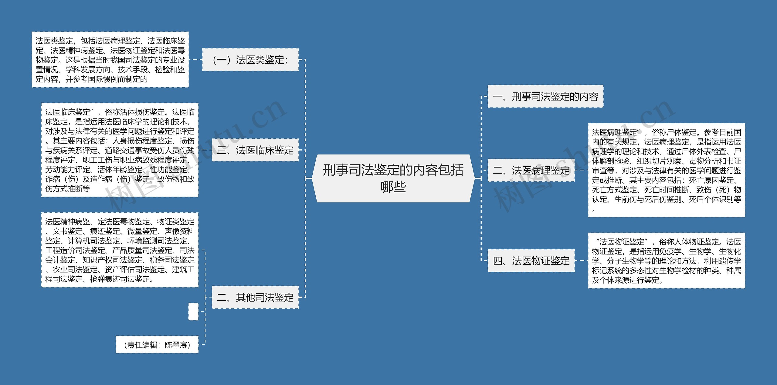 刑事司法鉴定的内容包括哪些思维导图