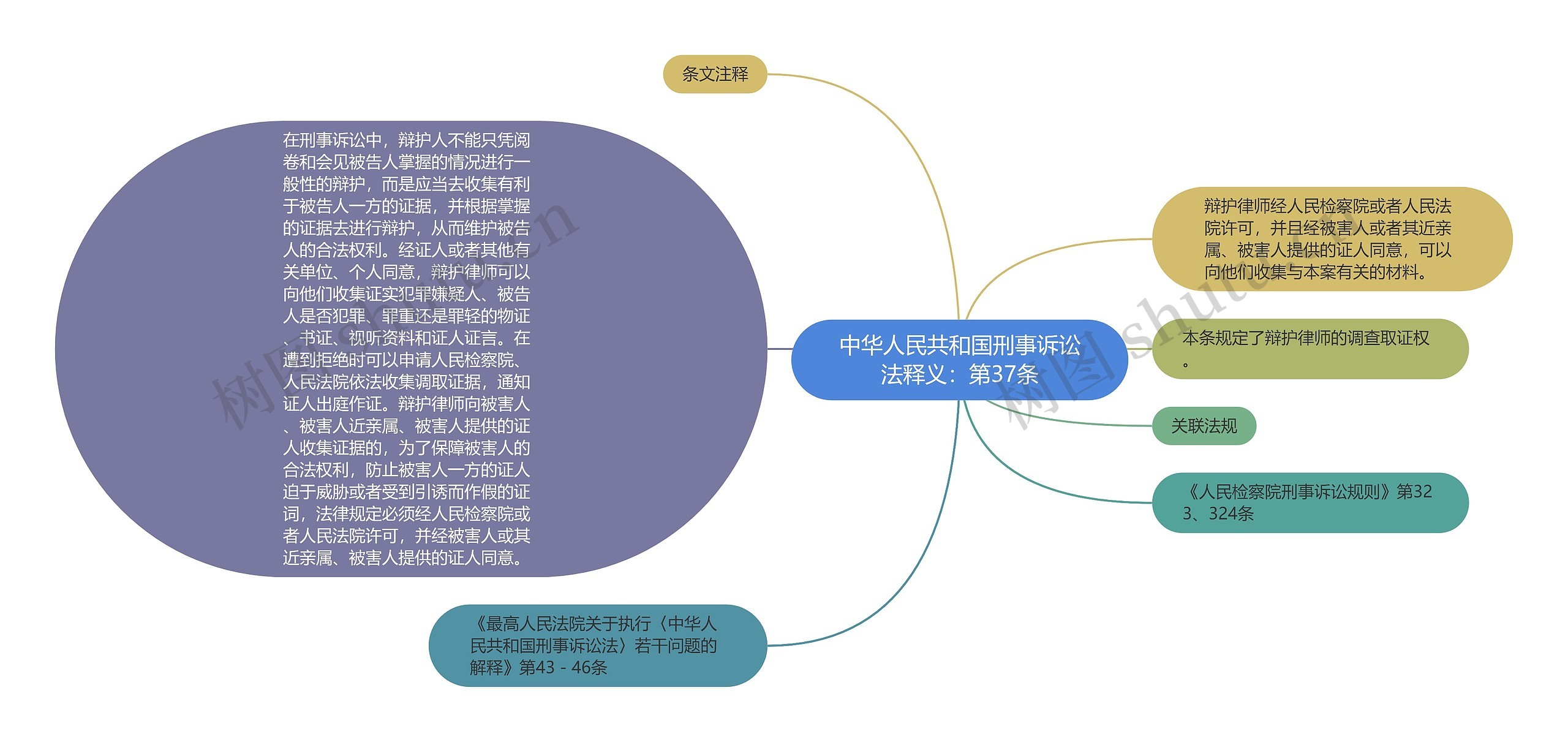 中华人民共和国刑事诉讼法释义：第37条思维导图