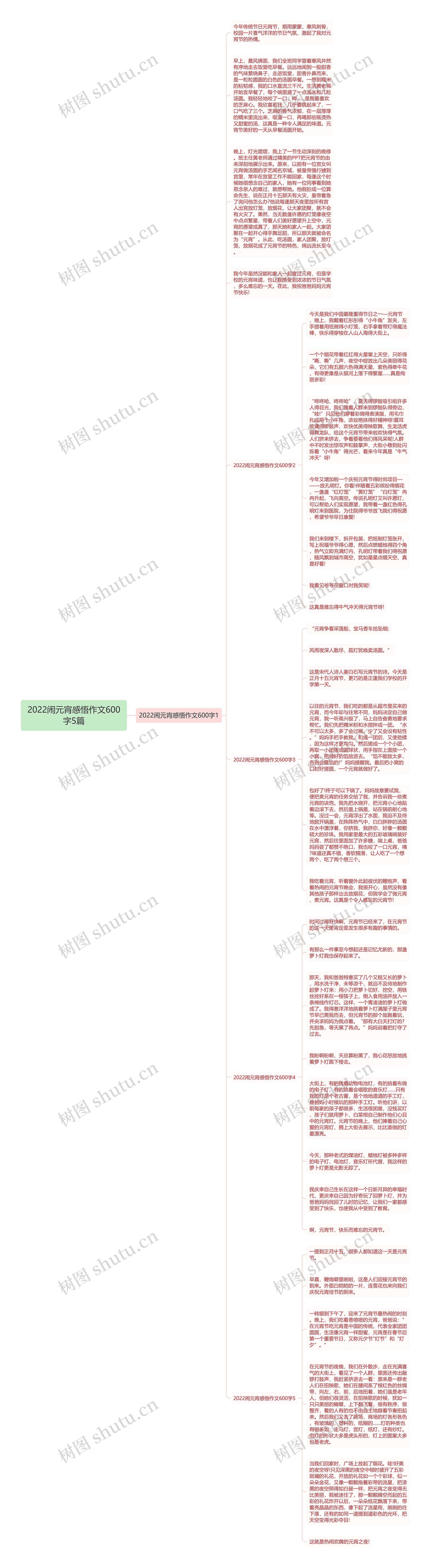 2022闹元宵感悟作文600字5篇