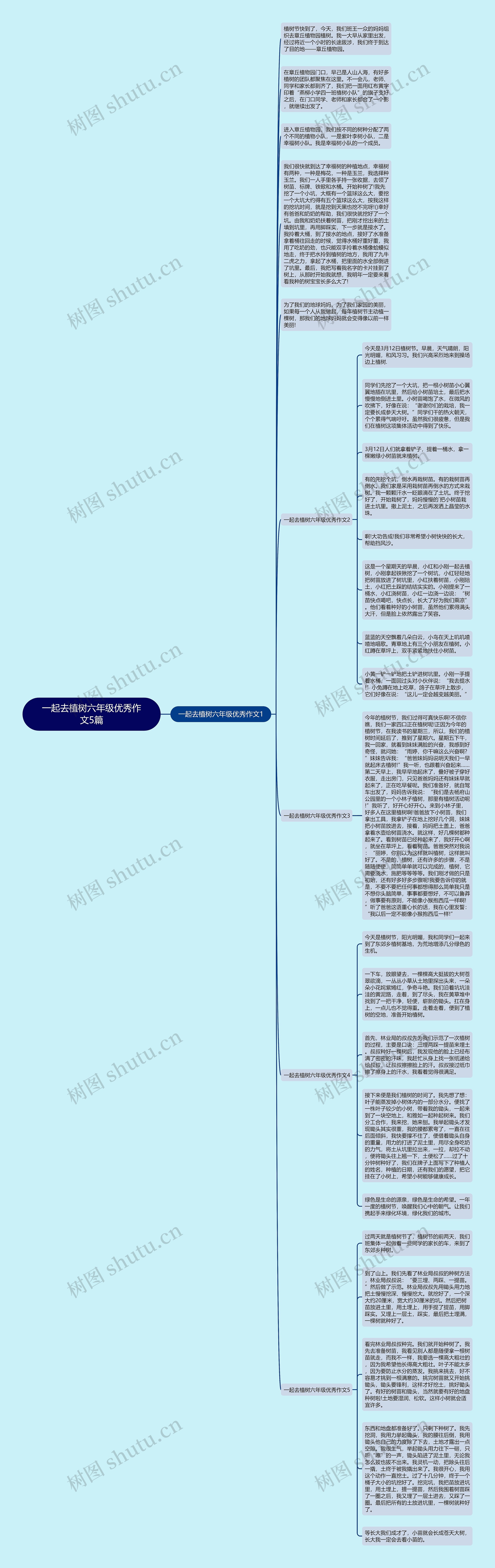 一起去植树六年级优秀作文5篇