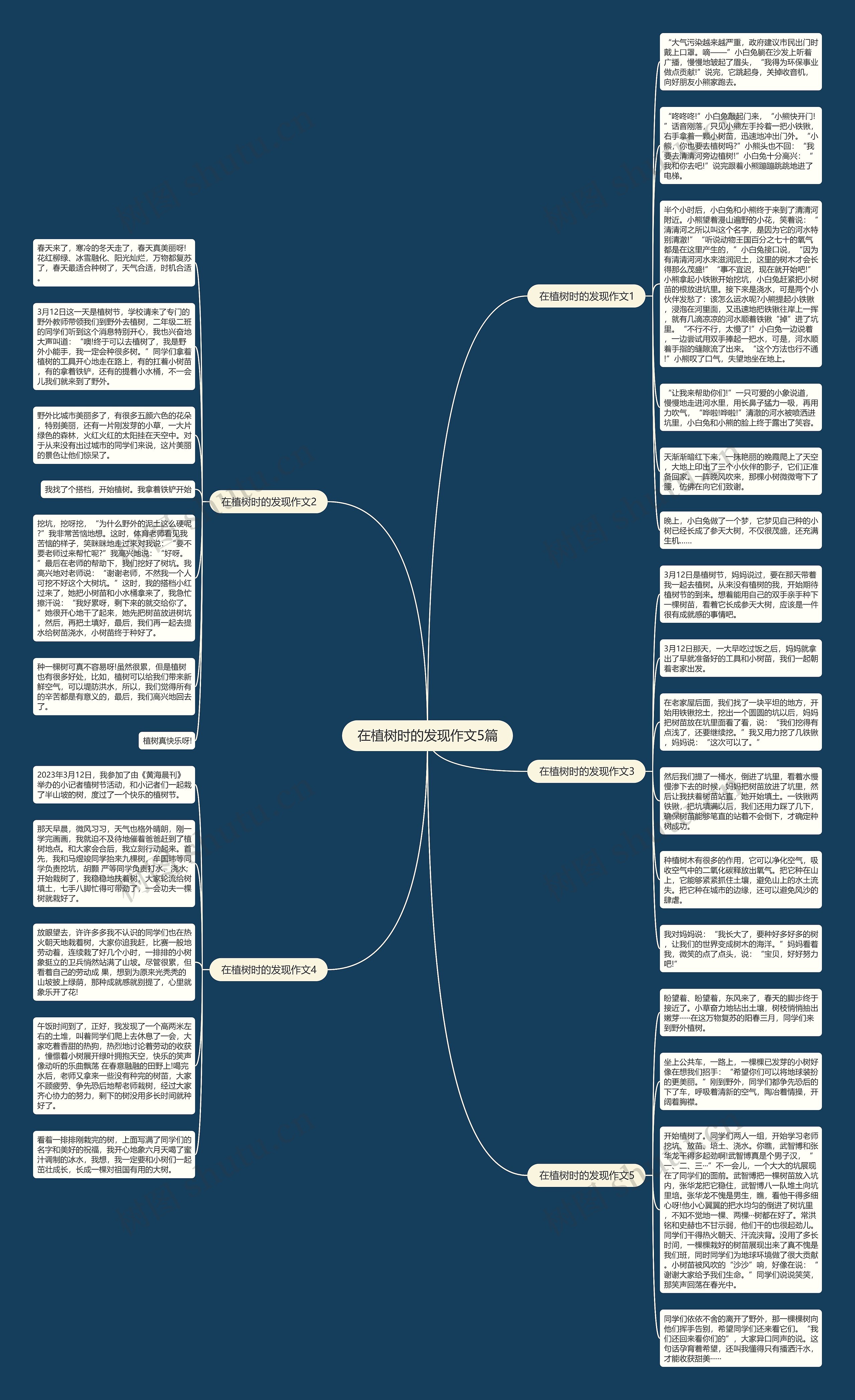 在植树时的发现作文5篇思维导图