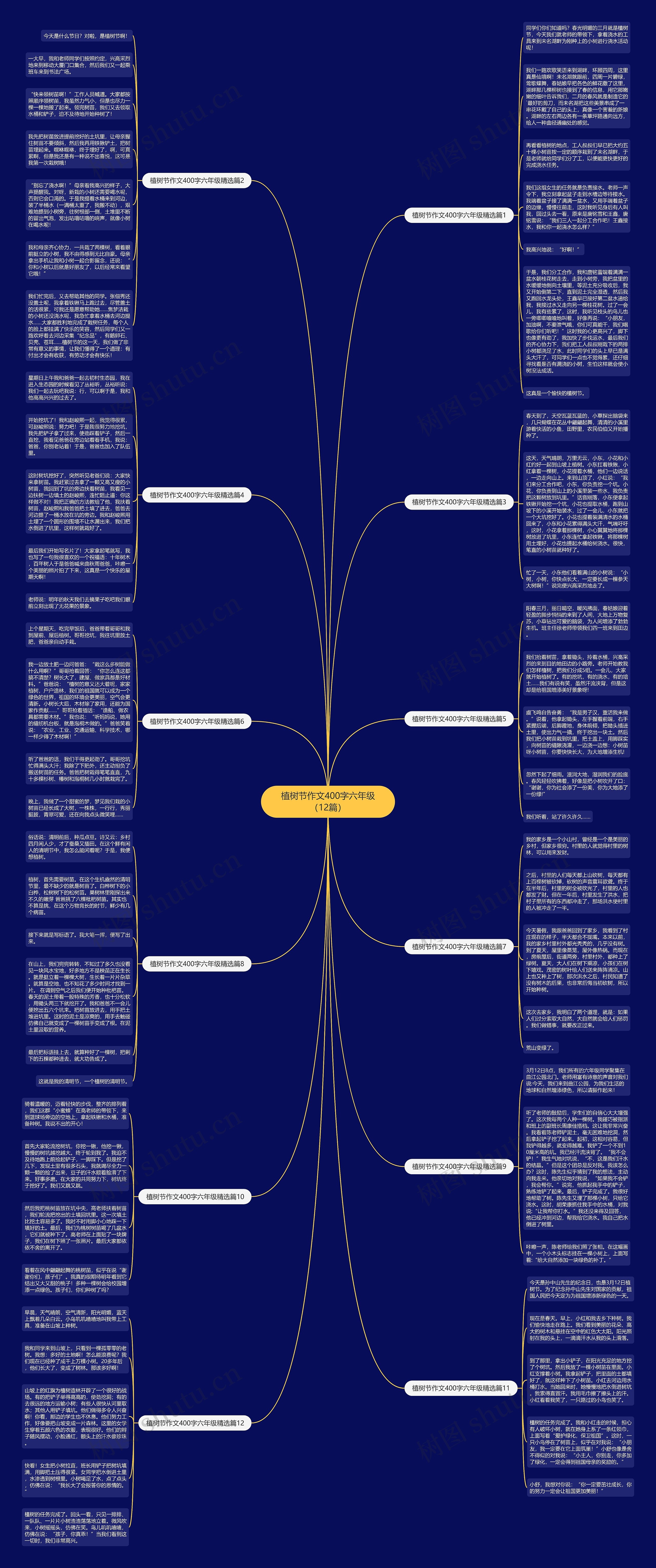 植树节作文400字六年级（12篇）思维导图