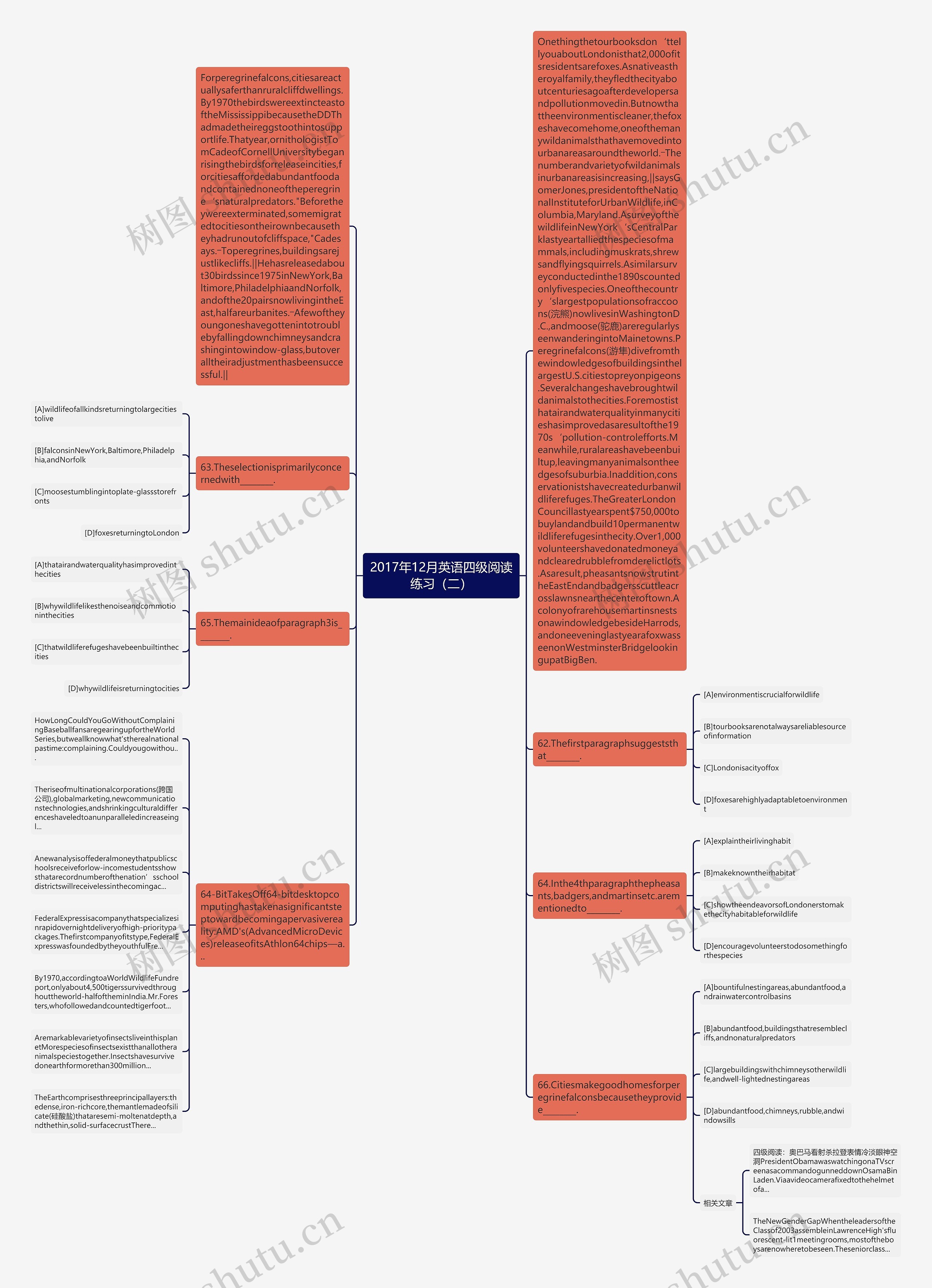 2017年12月英语四级阅读练习（二）思维导图