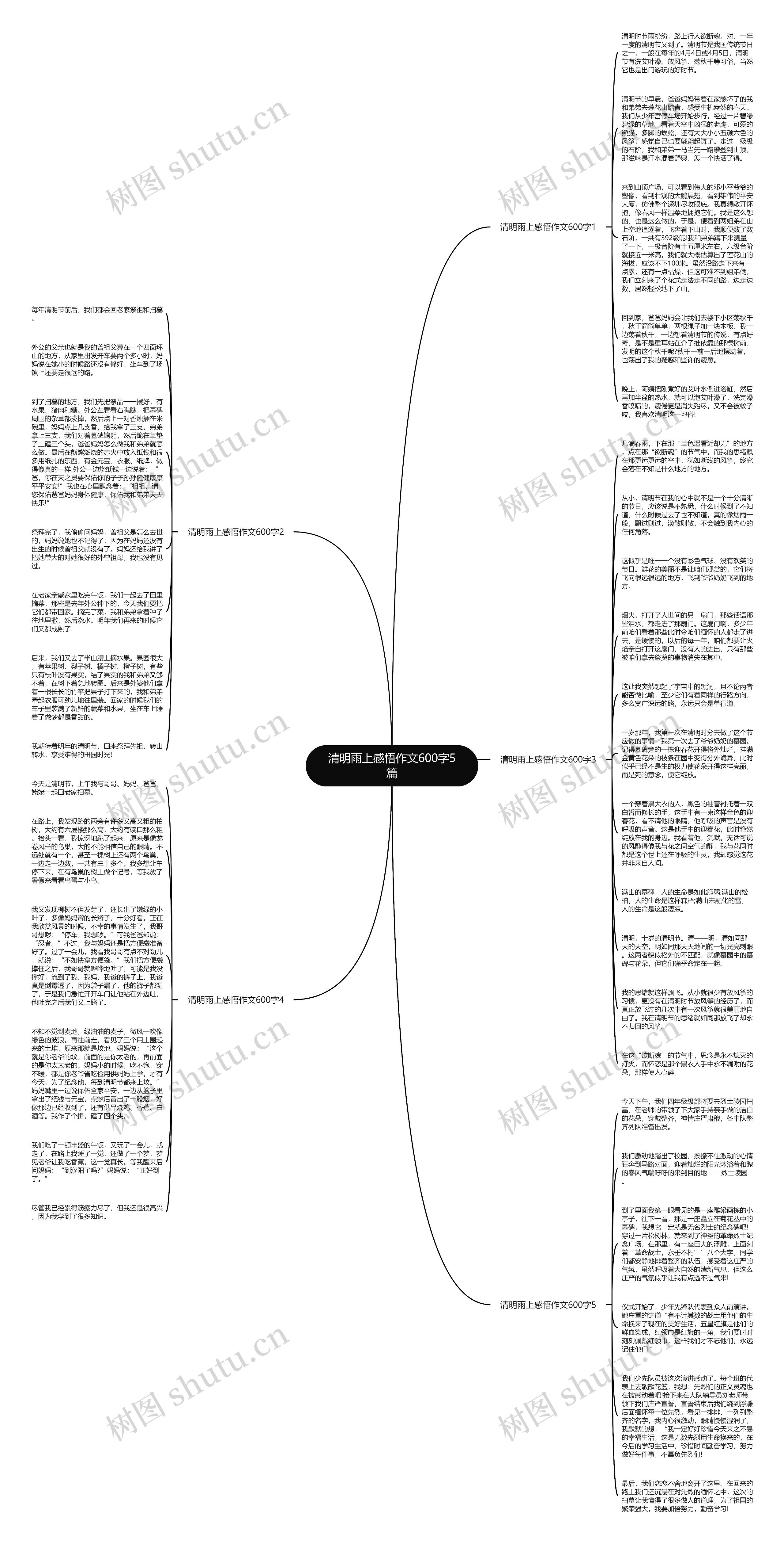 清明雨上感悟作文600字5篇思维导图