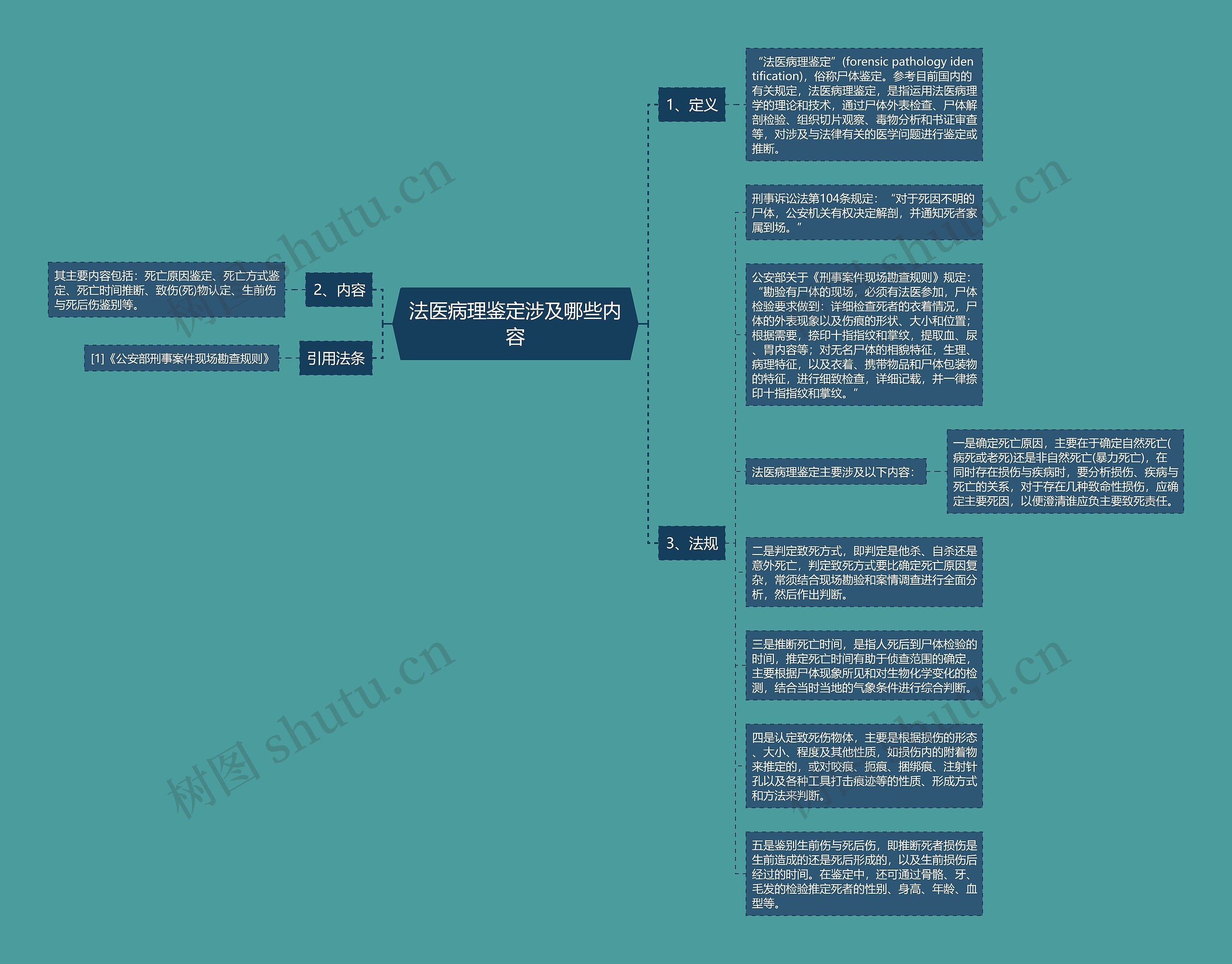 法医病理鉴定涉及哪些内容思维导图