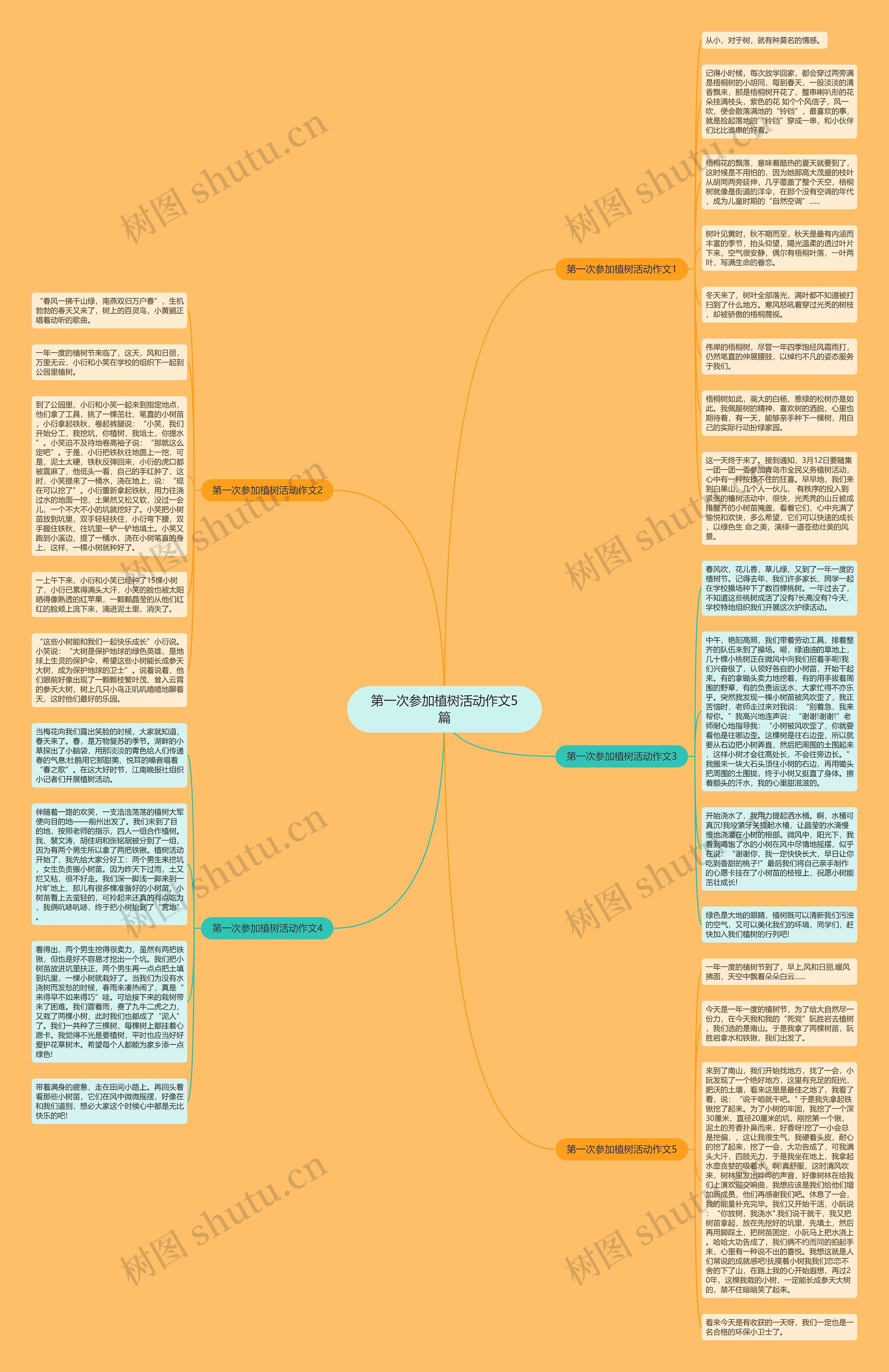第一次参加植树活动作文5篇思维导图