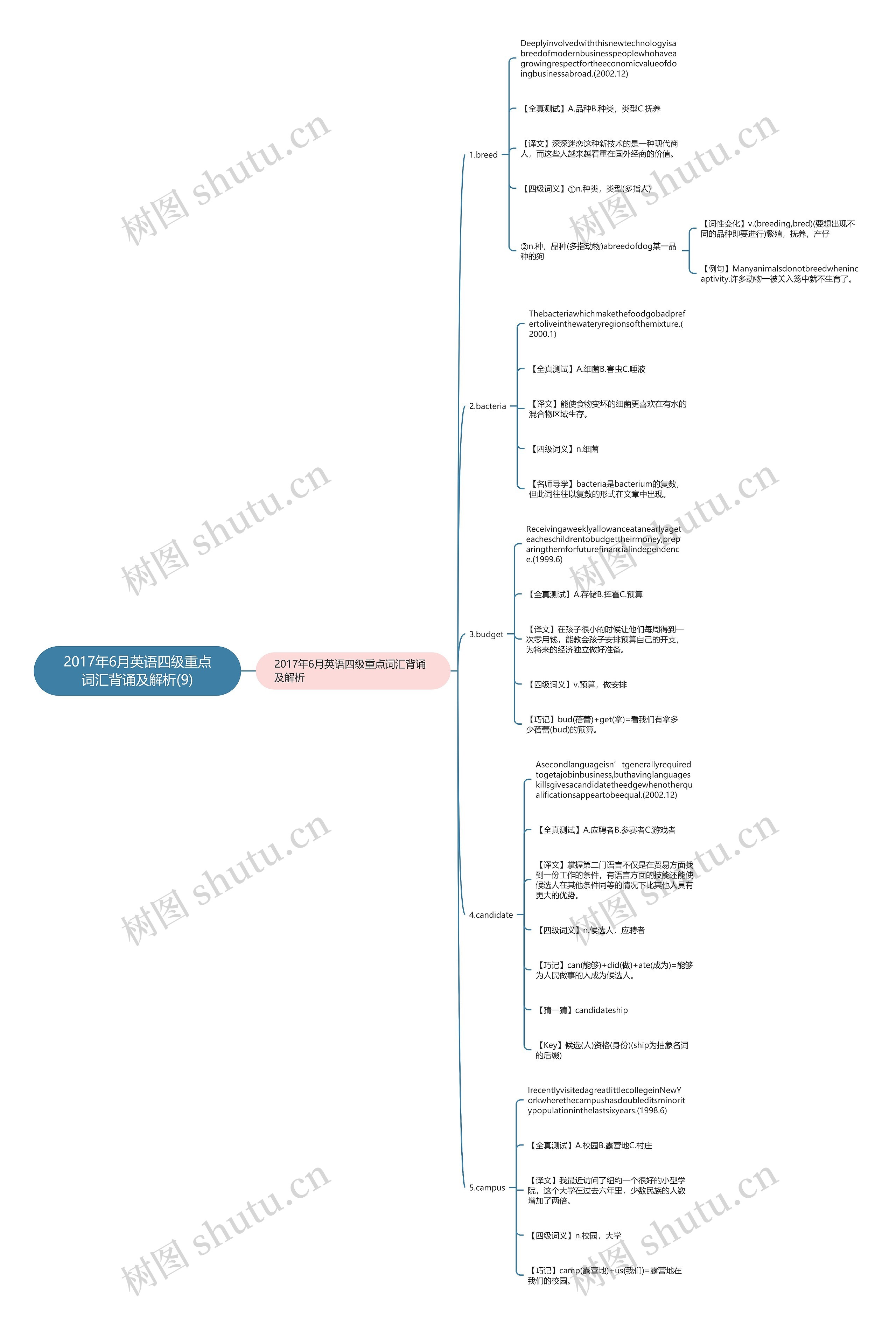 2017年6月英语四级重点词汇背诵及解析(9)思维导图