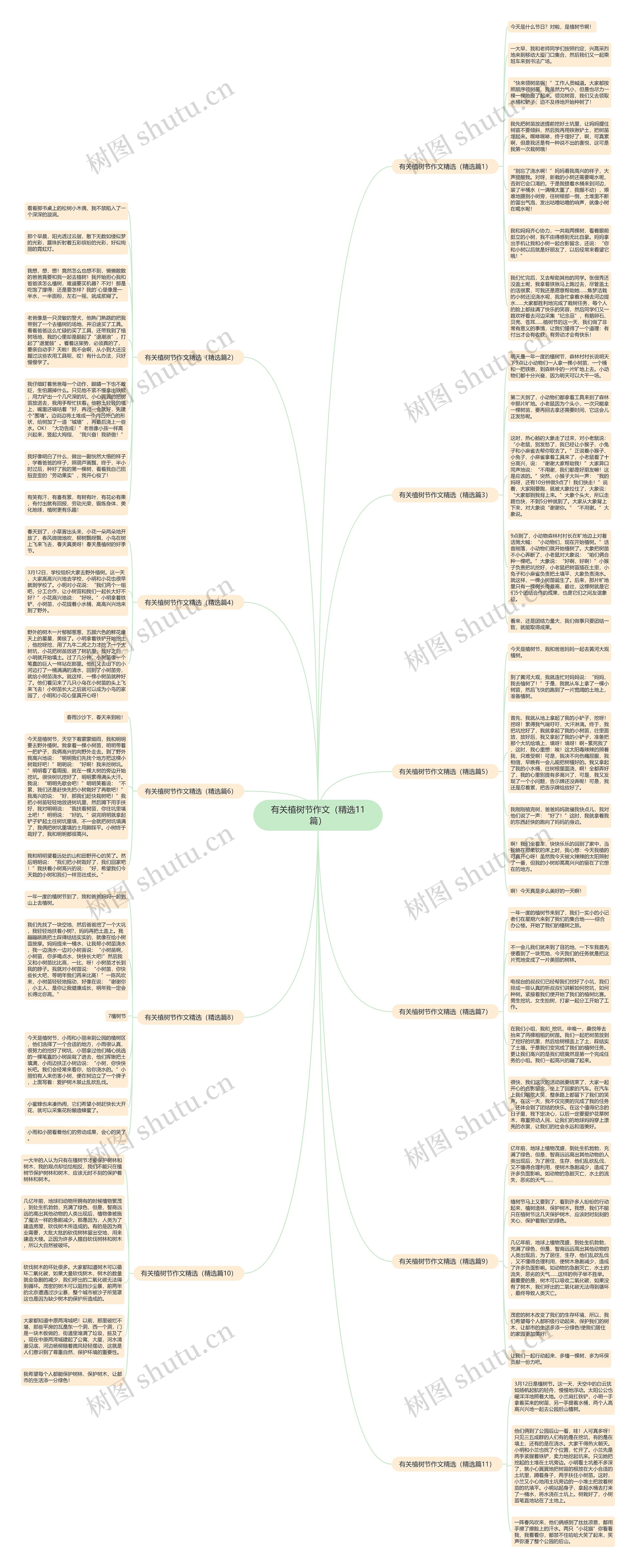 有关植树节作文（精选11篇）思维导图