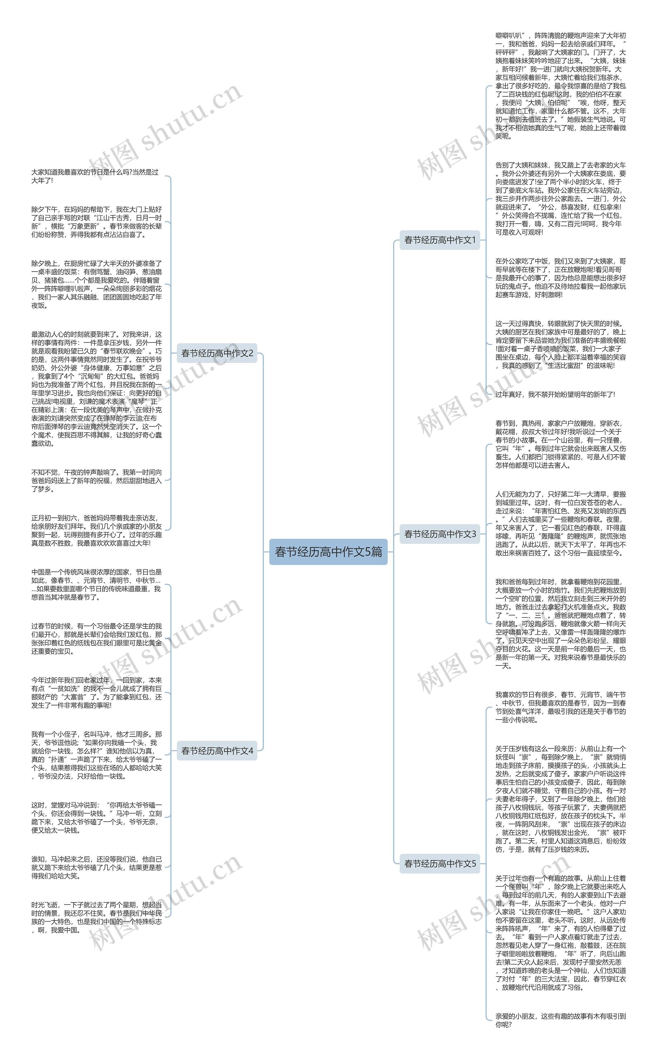 春节经历高中作文5篇思维导图